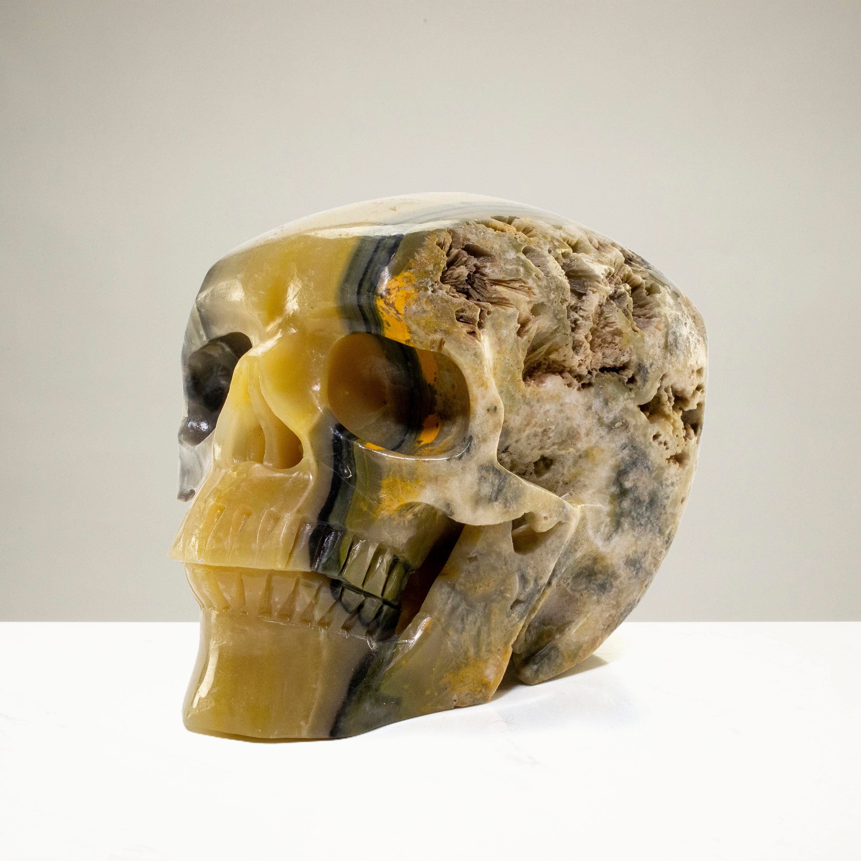 Kalifano Bumblebee Jasper Eclipse Jasper Skull Carving 6" / 2,480g SK6000-BB.001