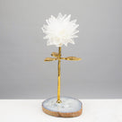 Calcite Flower with Brass Stem on Agate Base