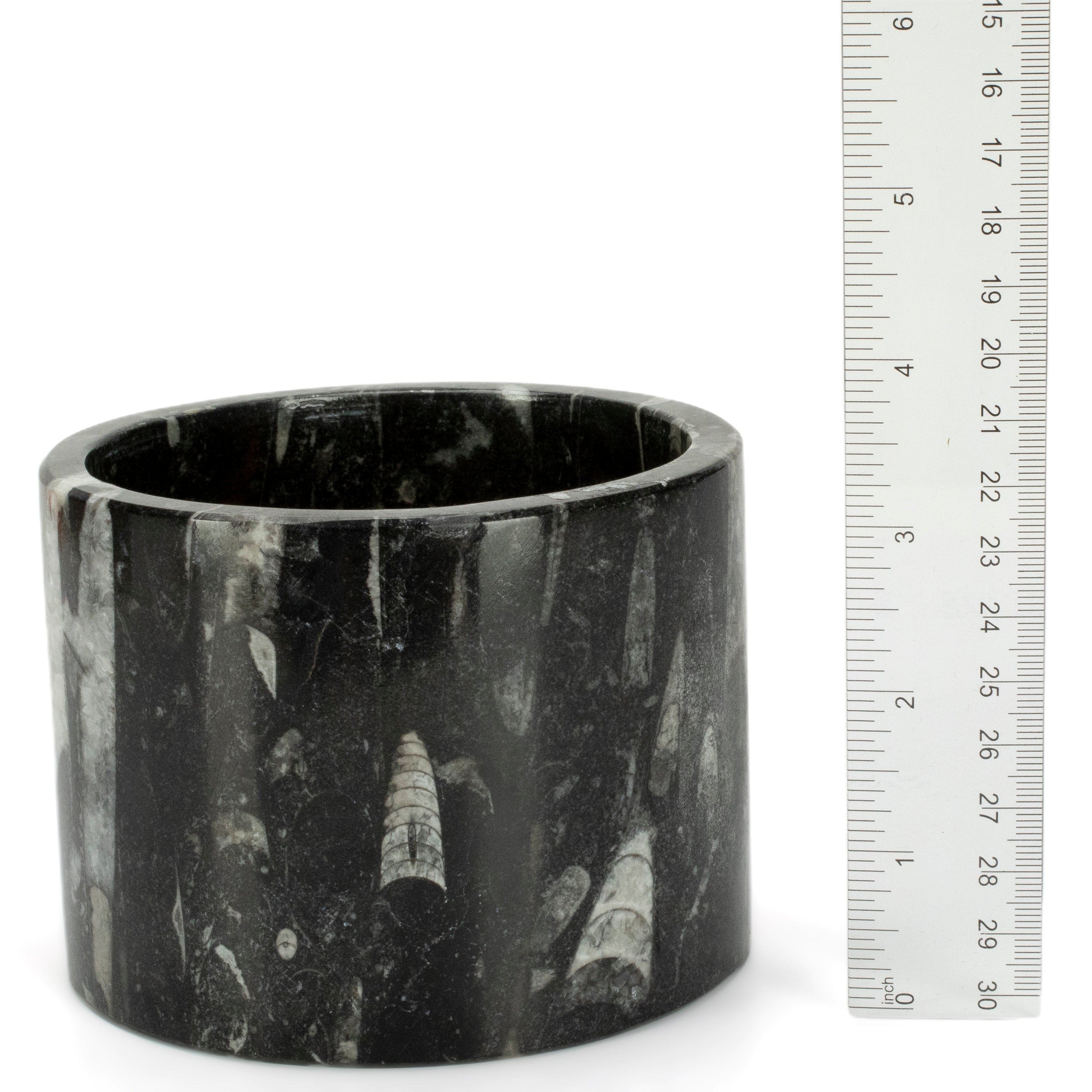 Kalifano Fossils & Minerals Black Orthoceras Cup from Morocco- 4.5" CORO200-BK