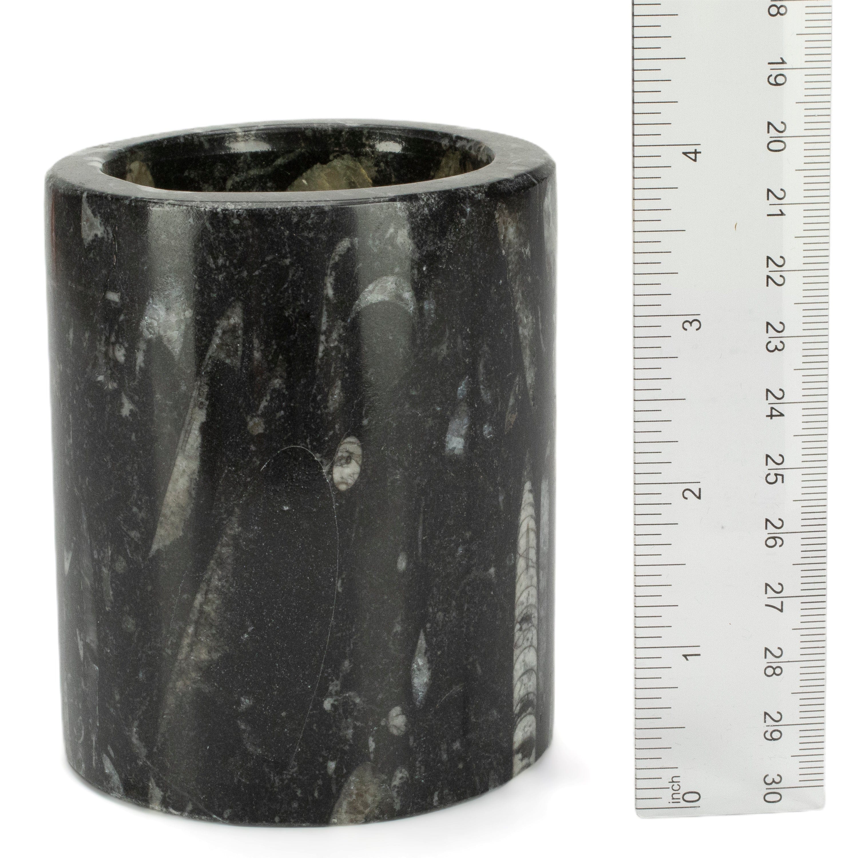 Kalifano Fossils & Minerals Black Orthoceras Cup from Morocco - 4" CORO120-BK
