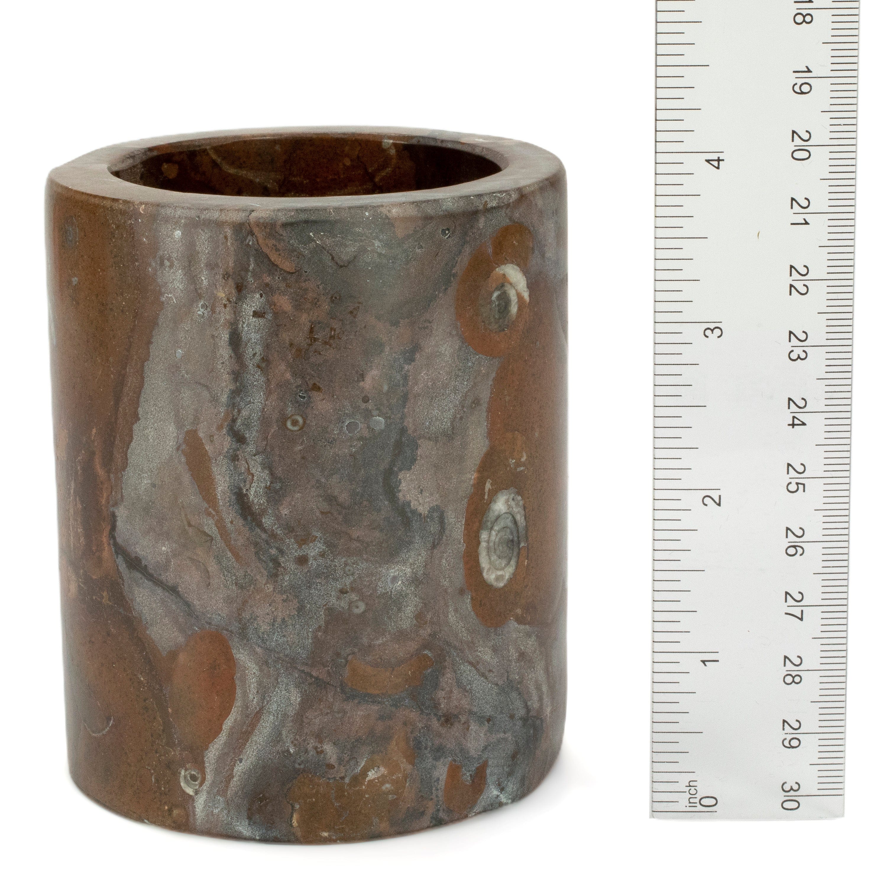 Kalifano Fossils & Minerals Brown Orthoceras Cup from Morocco  - 4" CORO120-BN