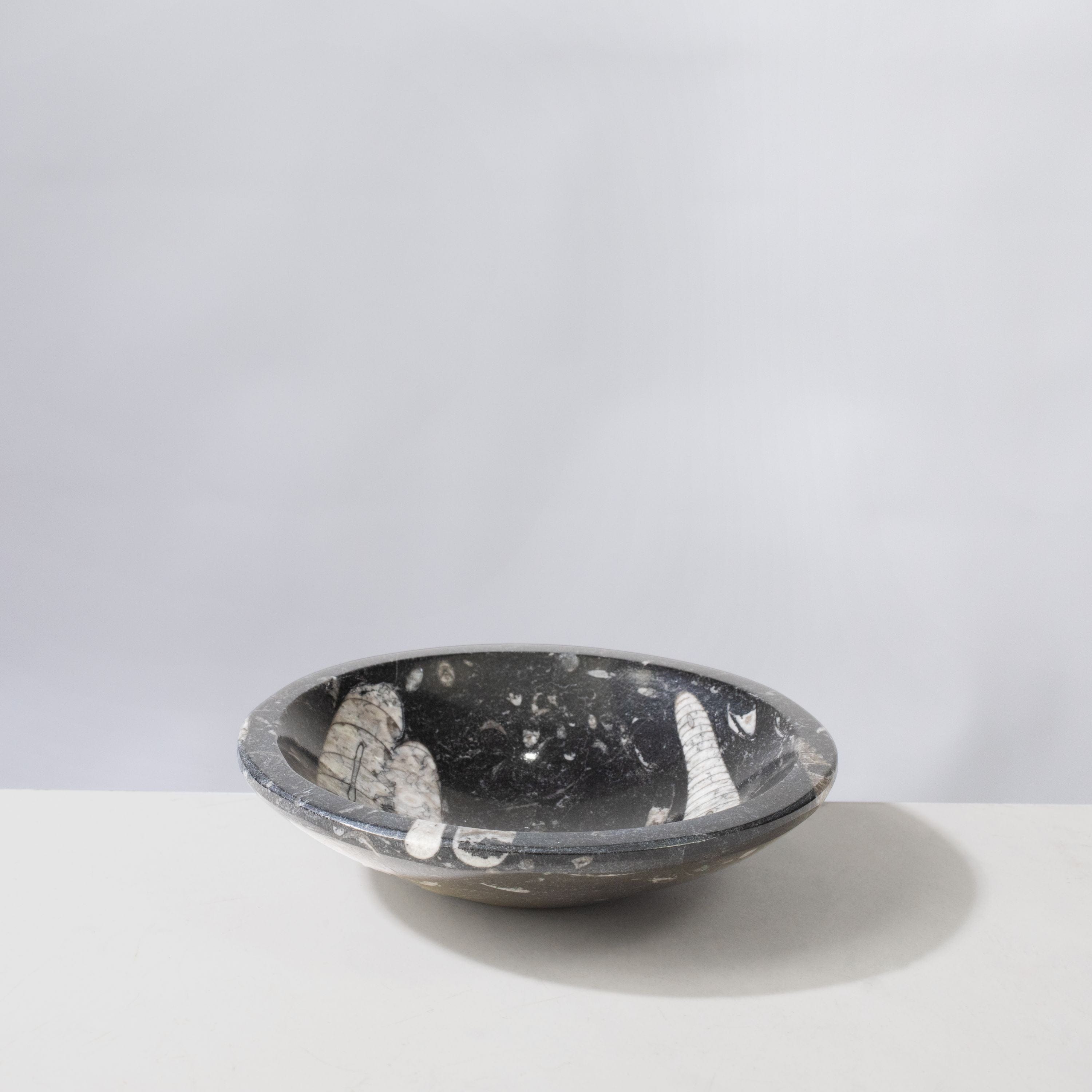 Kalifano Fossils & Minerals Natural Ammonite & Orthoceras Bowl from Morocco - 5" BORA120