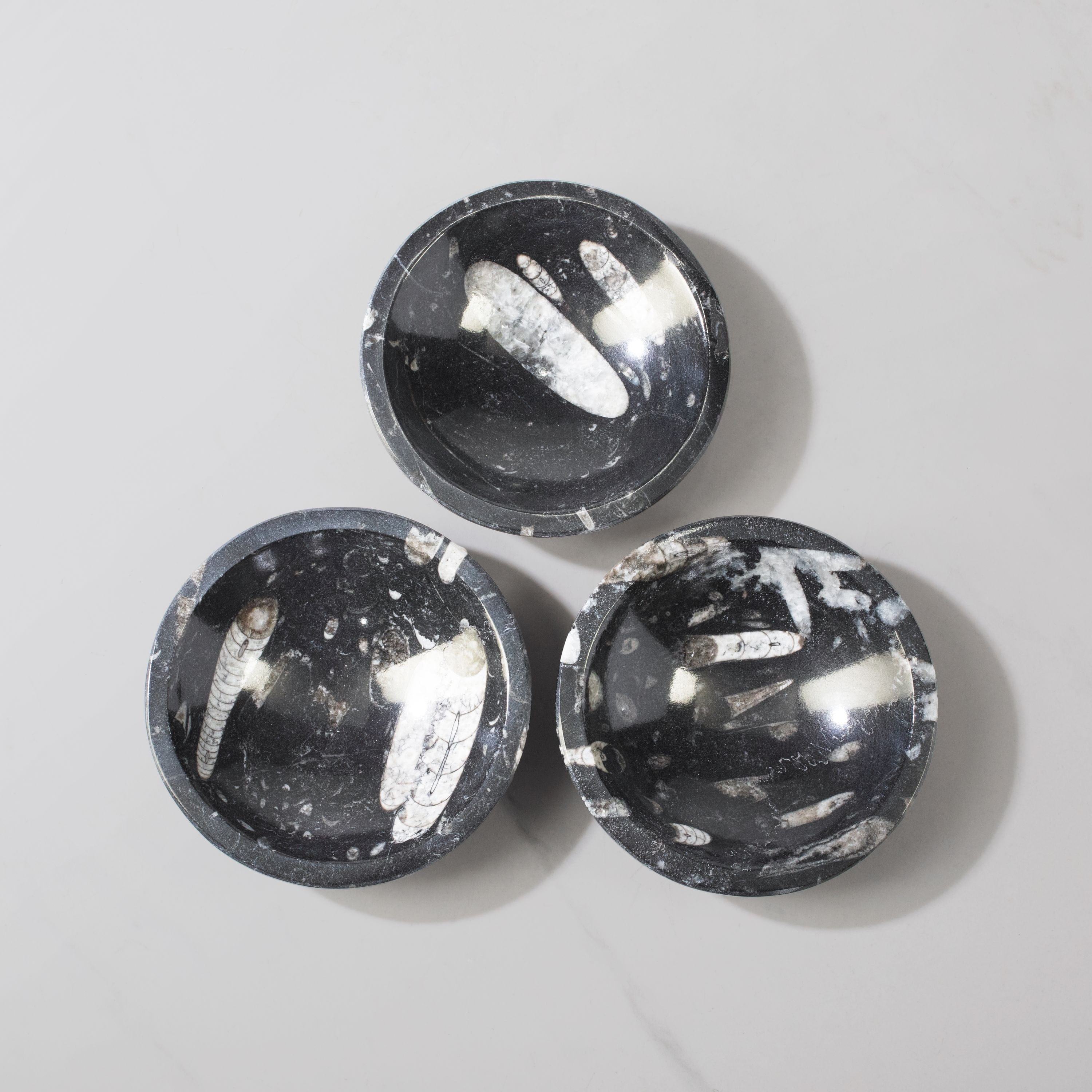 Kalifano Fossils & Minerals Natural Ammonite & Orthoceras Bowl from Morocco - 5" BORA120