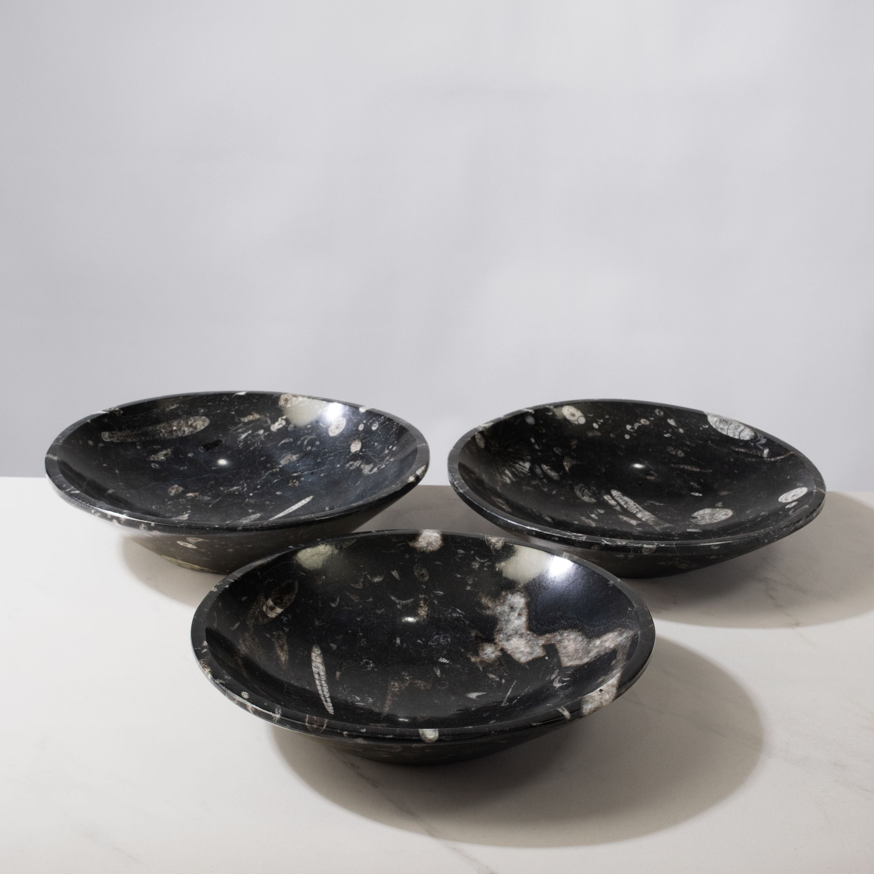 Kalifano Fossils & Minerals Natural Black Orthoceras Bowl from Morocco - 10" BORO400