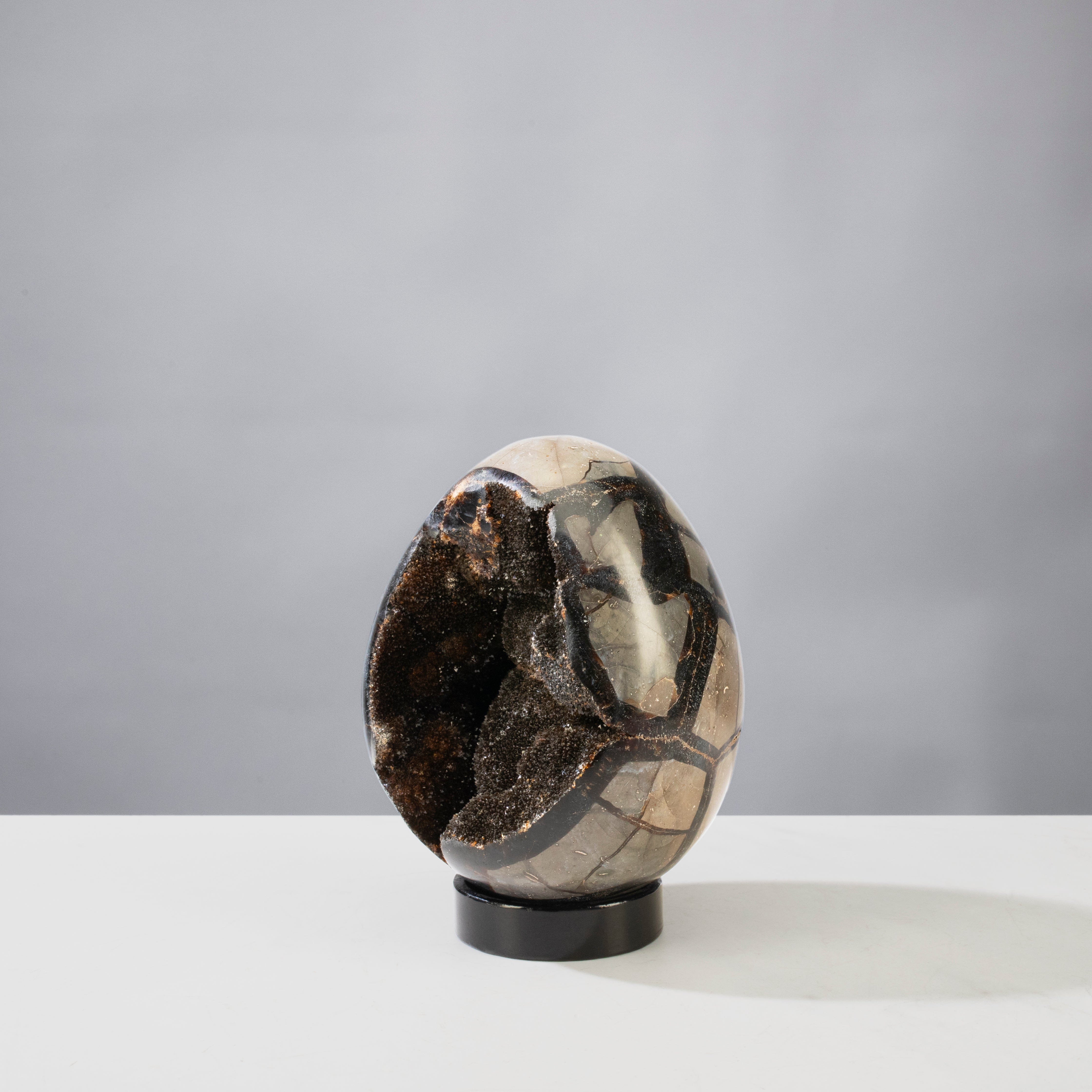 Kalifano Fossils & Minerals Natural Septarian Druzy Dragon Egg from Madagascar - 5" / 1,150 grams DE500-SP