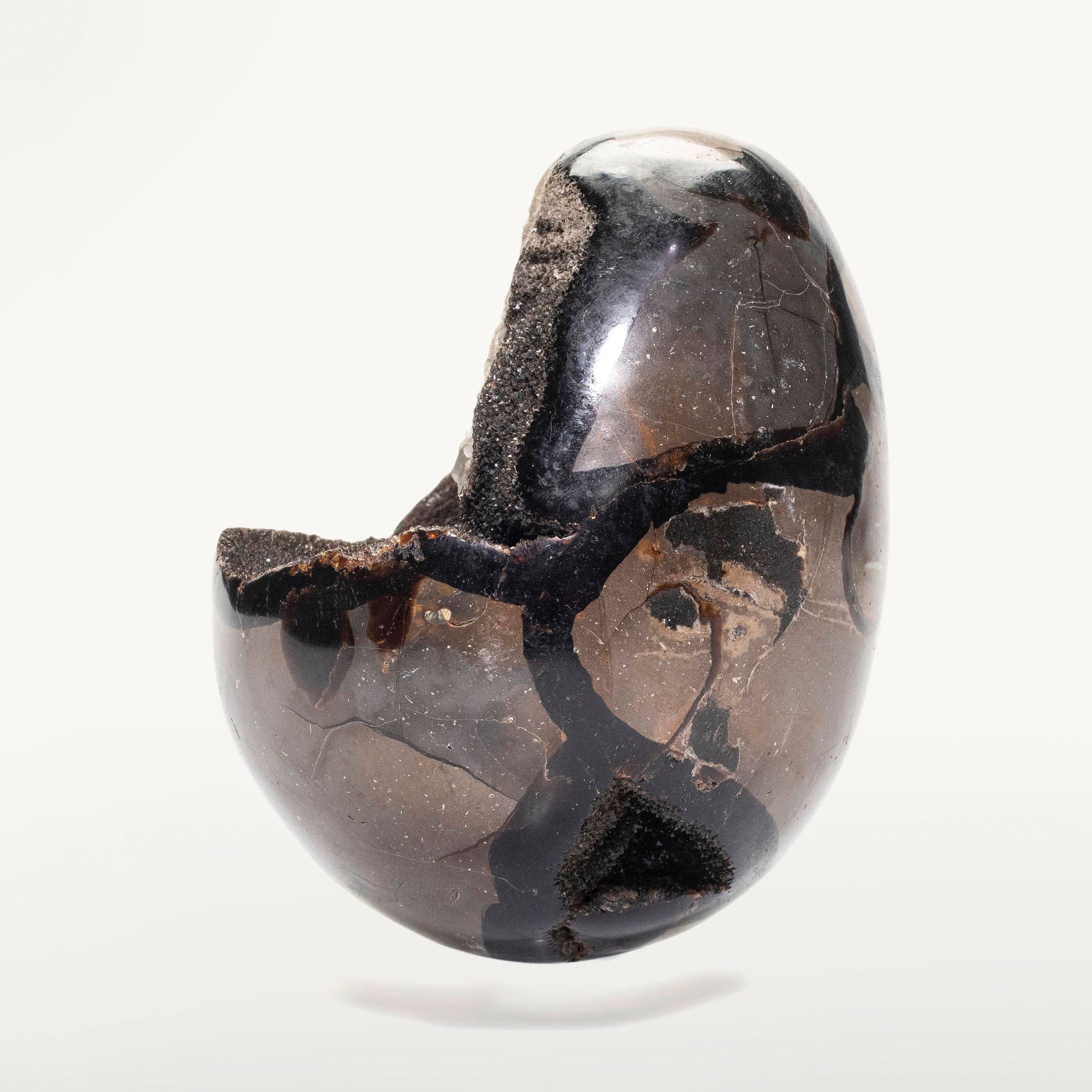 Kalifano Fossils & Minerals Natural Septarian Druzy Dragon Egg from Madagascar - 5" / 1,150 grams DE500-SP