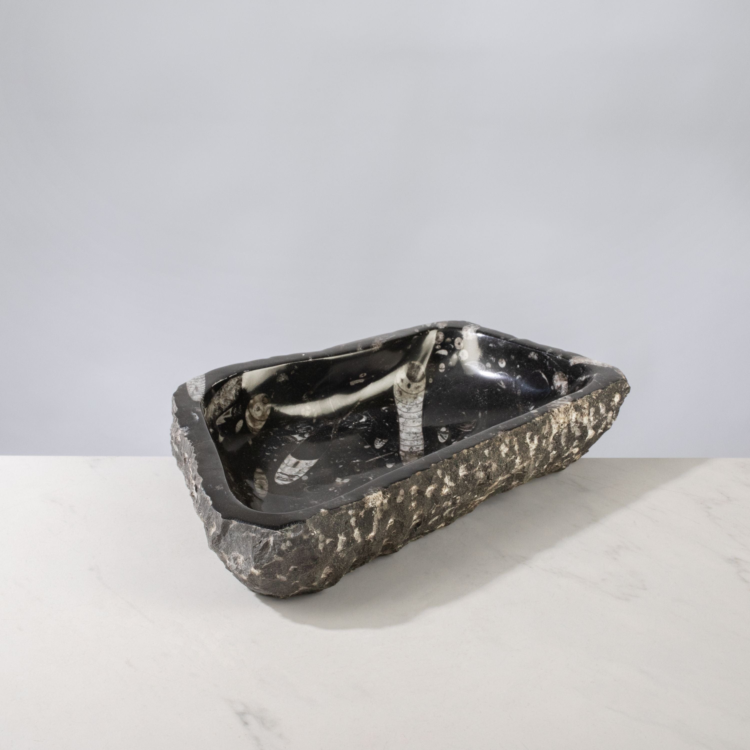Kalifano Fossils & Minerals Orthoceras Bowl from Morocco - 12" / 8.6 lbs BORO1600.002