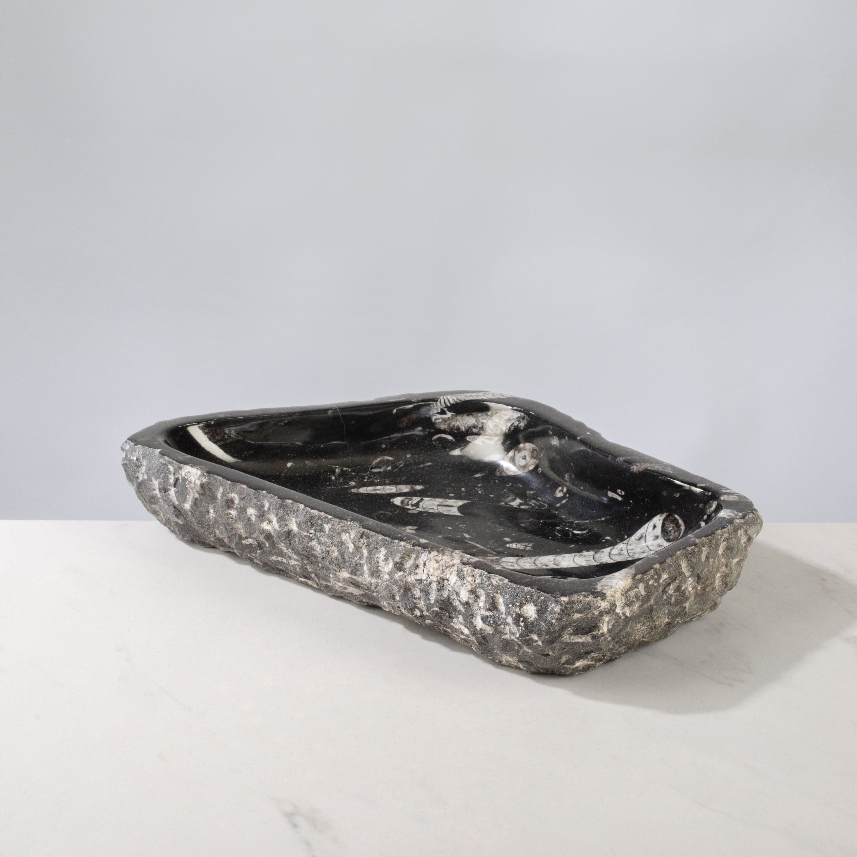 Kalifano Fossils & Minerals Orthoceras Bowl from Morocco - 12" / 8.6 lbs BORO1600.002