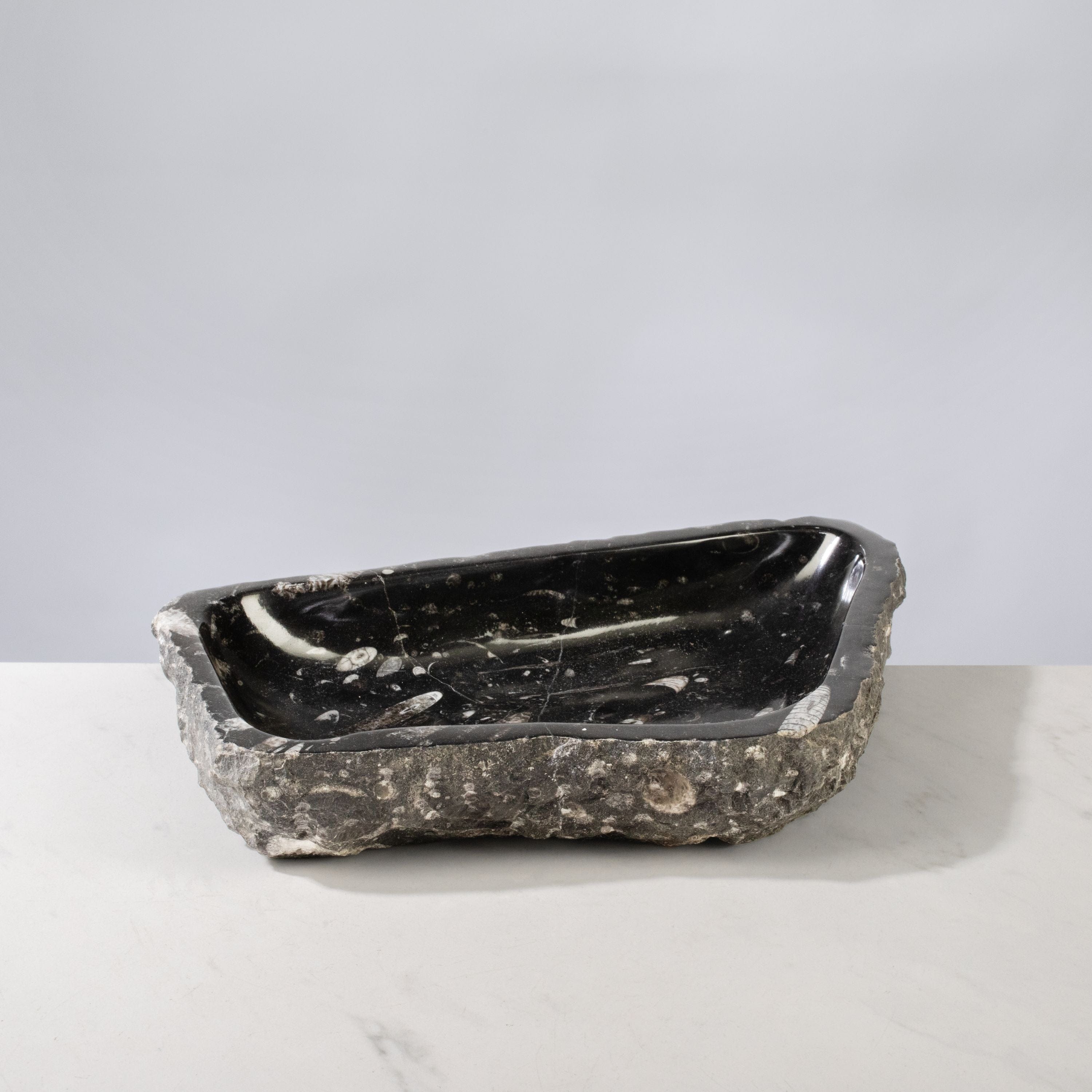 Kalifano Fossils & Minerals Orthoceras Bowl from Morocco - 12" / 8.6 lbs BORO1600.002
