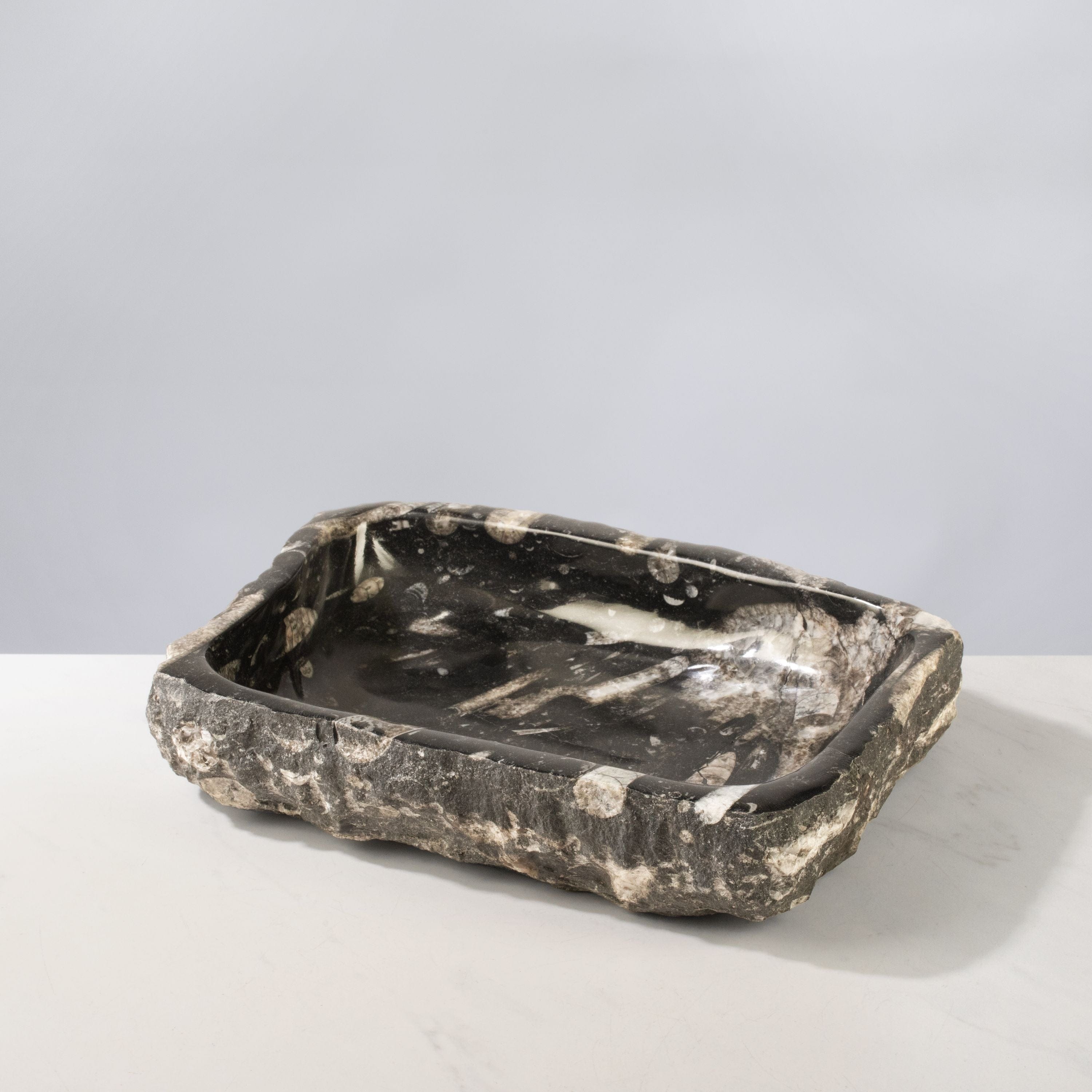 Kalifano Fossils & Minerals Orthoceras Bowl from Morocco - 12" / 9.5 lbs BORO1600.001