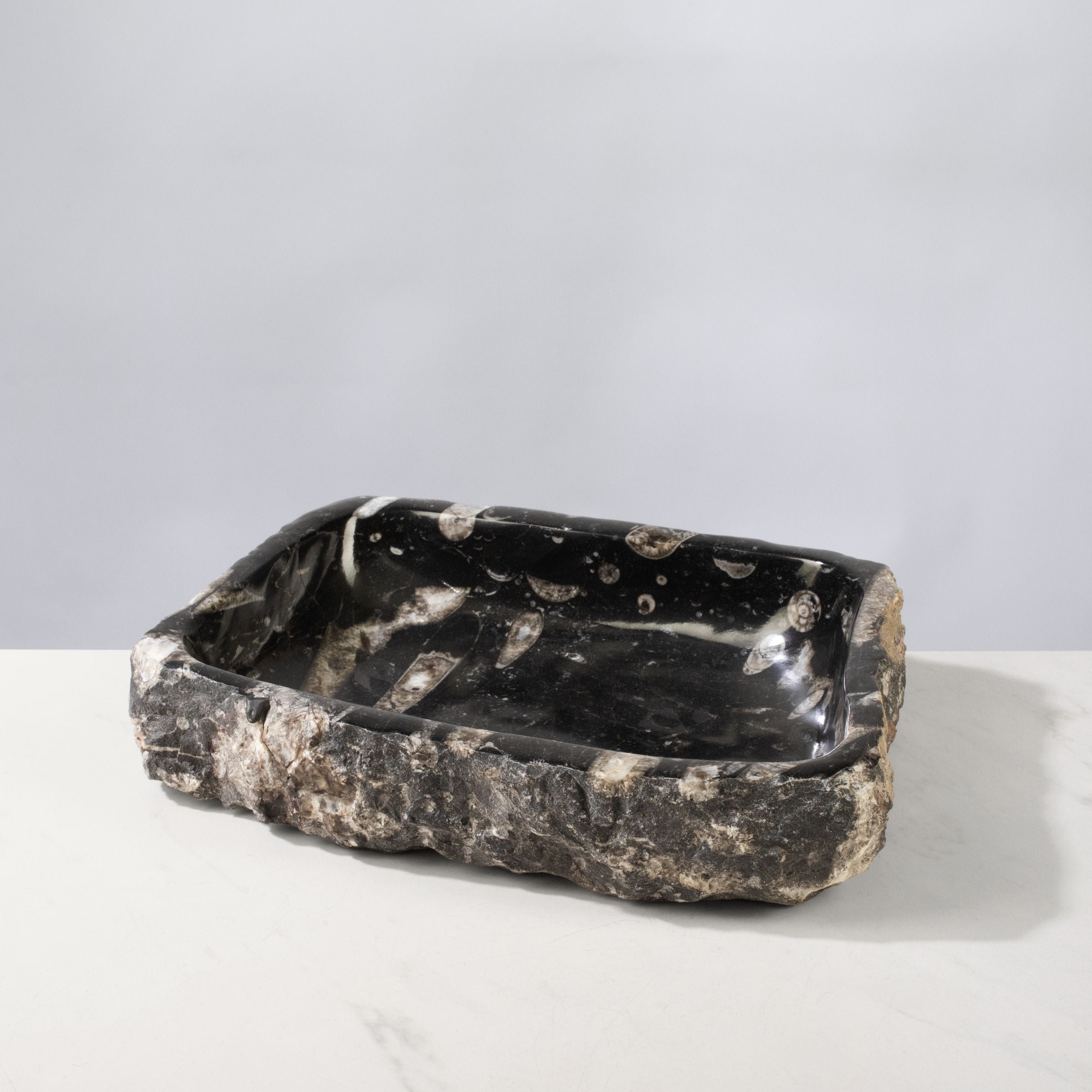Kalifano Fossils & Minerals Orthoceras Bowl from Morocco - 12" / 9.5 lbs BORO1600.001