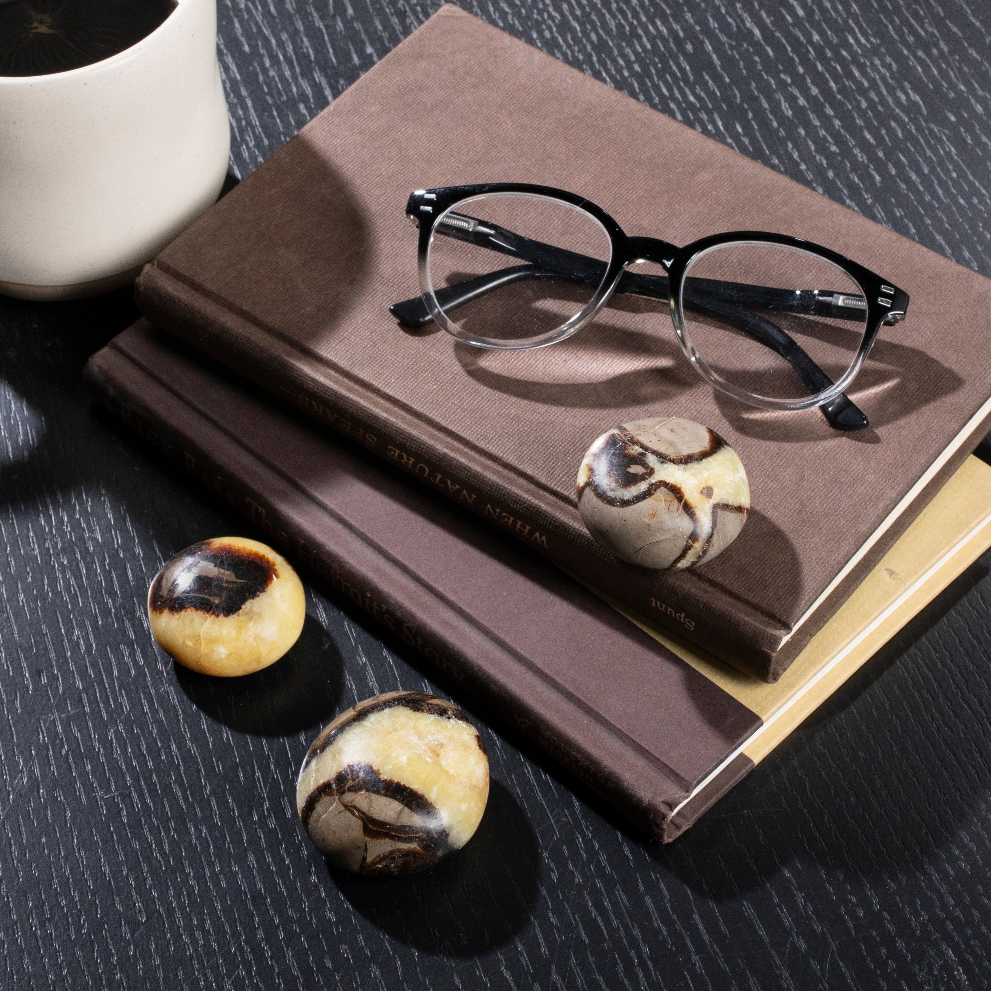 Kalifano Fossils & Minerals Septarian Palm Stone SP20