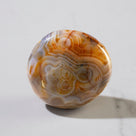 Agate Palm Stone