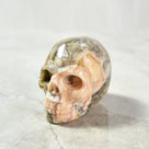 Crazy Lace Agate Skull 2'' Natural Gemstone Carving