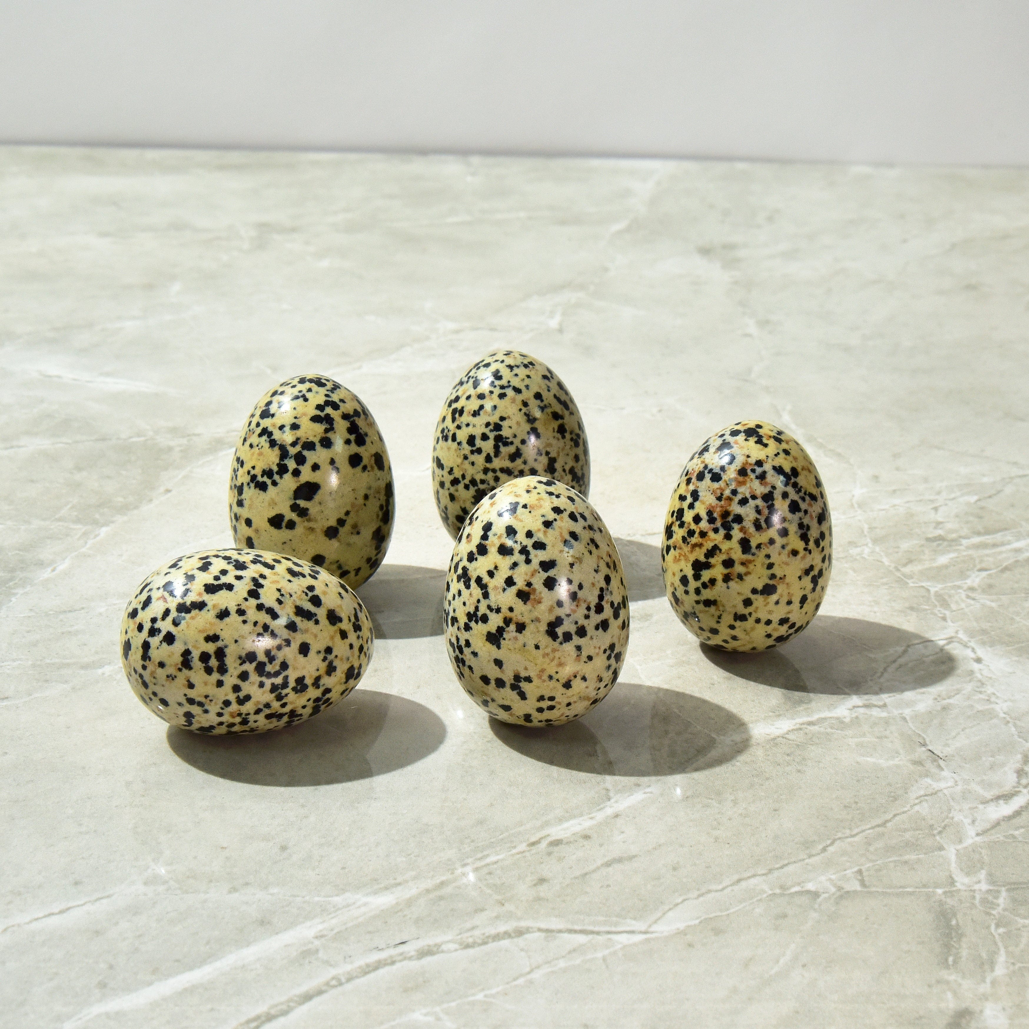 Kalifano Gemstone Carvings Dalmatian Jasper Egg Natural Gemstone Carving CV14-EG-DJ