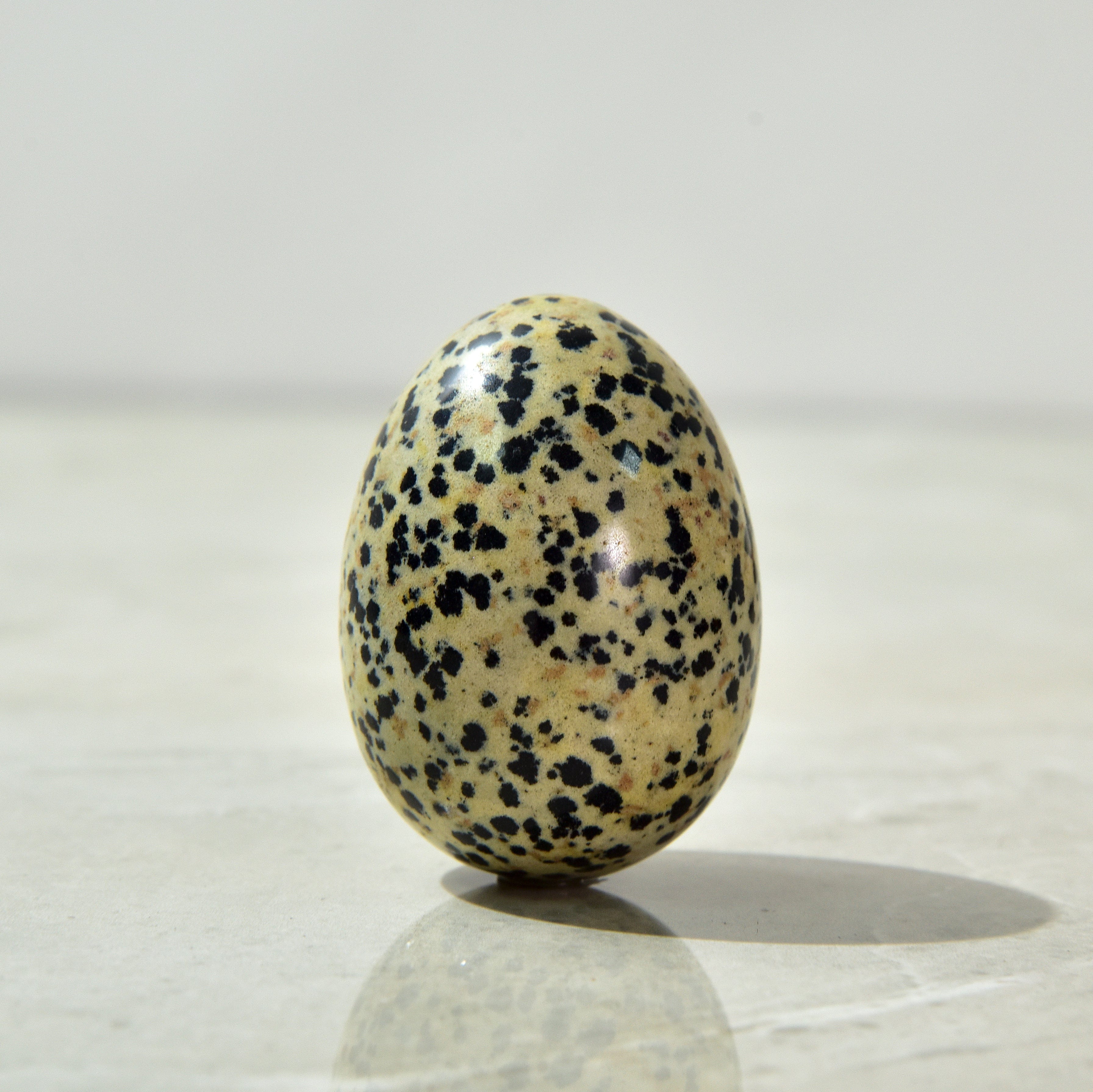 Kalifano Gemstone Carvings Dalmatian Jasper Egg Natural Gemstone Carving CV14-EG-DJ