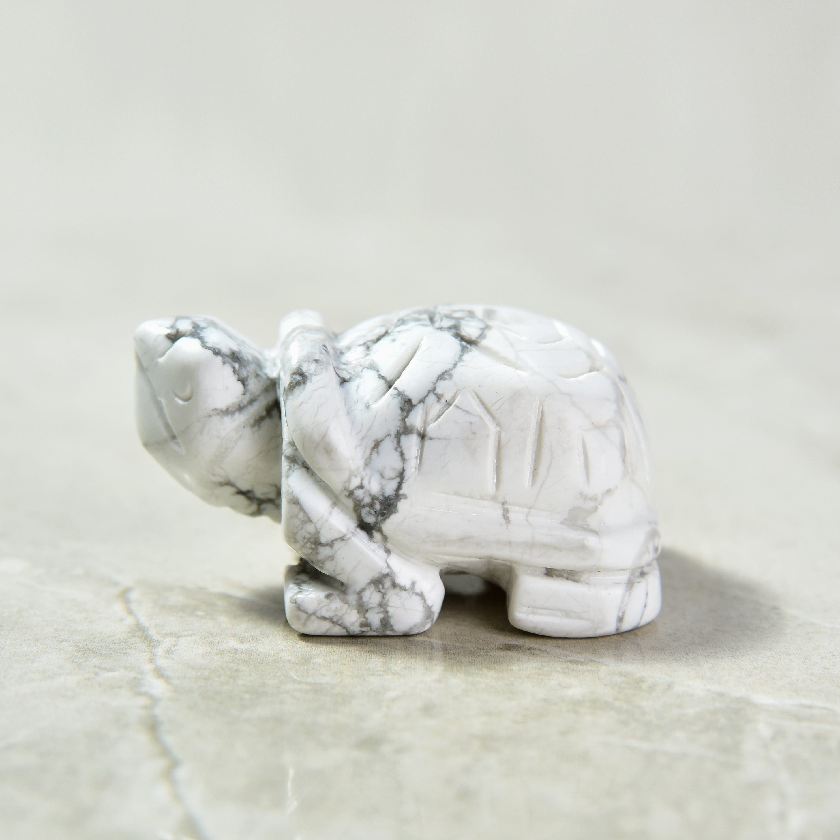 Kalifano Gemstone Carvings Howlite Turtle 2'' Natural Gemstone Carving CV14-T-HT