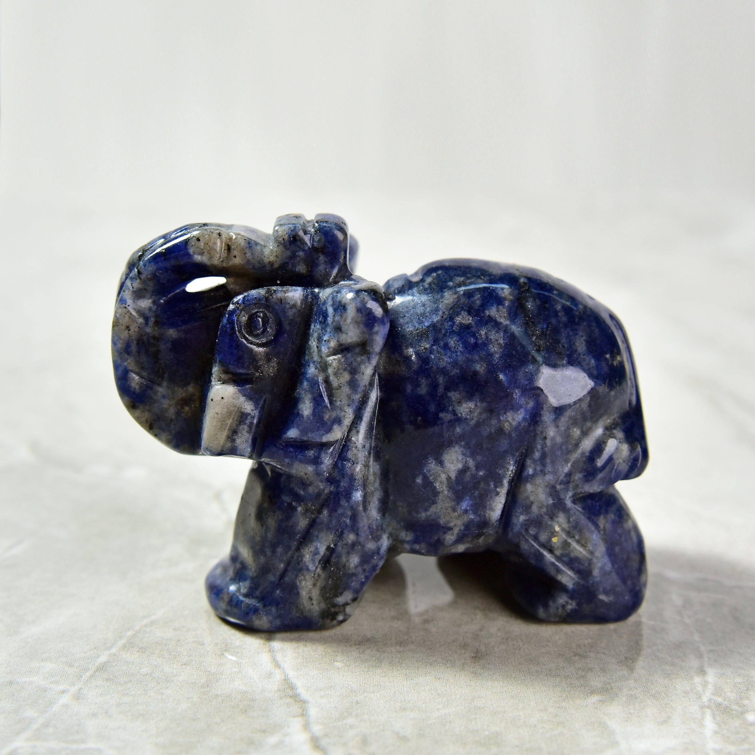 Kalifano Gemstone Carvings Sodalite Elephant 2.5" Gemstone Carving CV25-E-SD