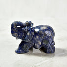 Sodalite Elephant 3