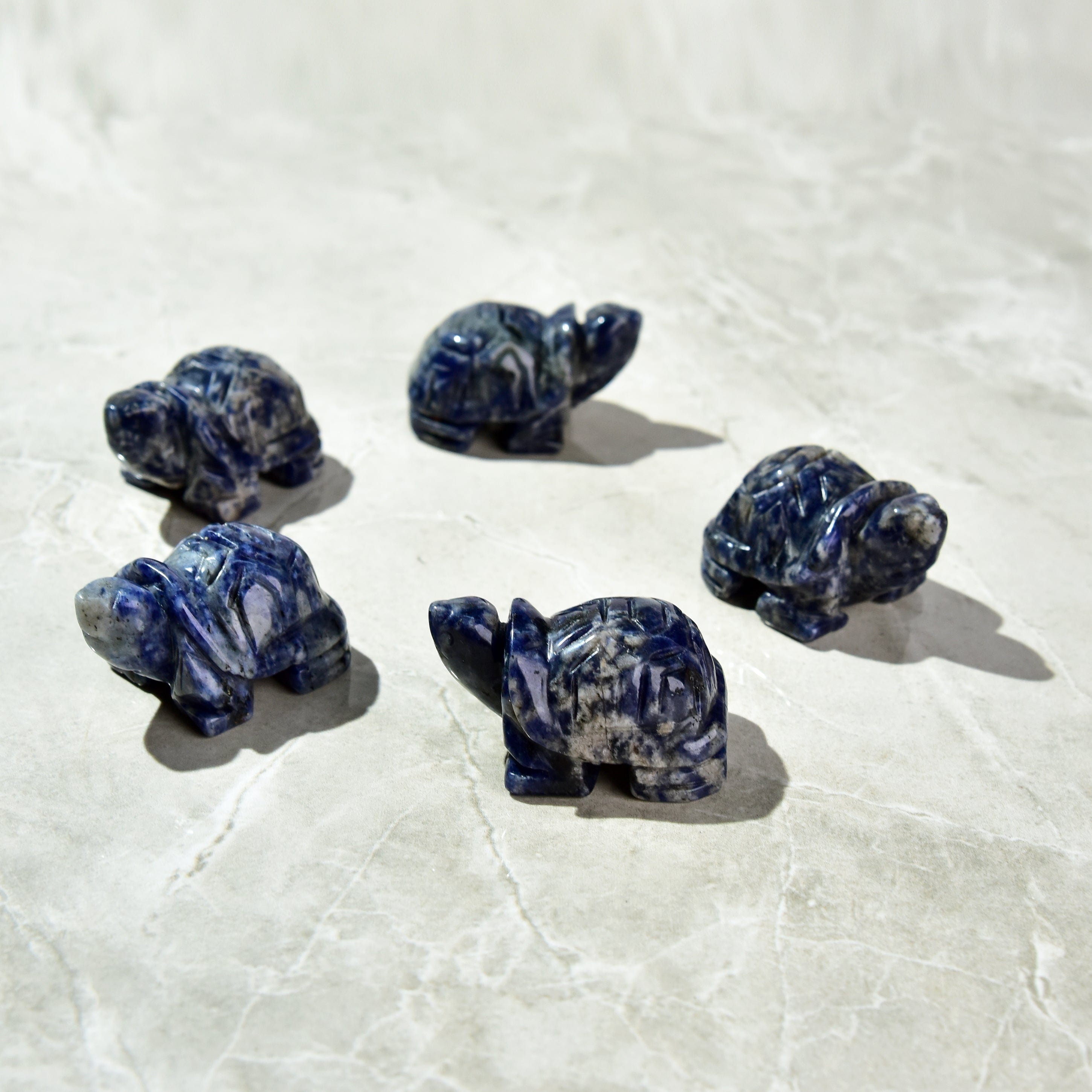 Kalifano Gemstone Carvings Sodalite Turtle 2'' Natural Gemstone Carving CV14-T-SD