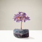 Amethyst Natural Gemstone Tree of Life with Fluorite Base