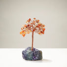Carnelian Natural Gemstone Tree of Life with Fluorite Base