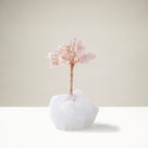 Rose Quartz Natural Gemstone Tree of Life with Quartz Base
