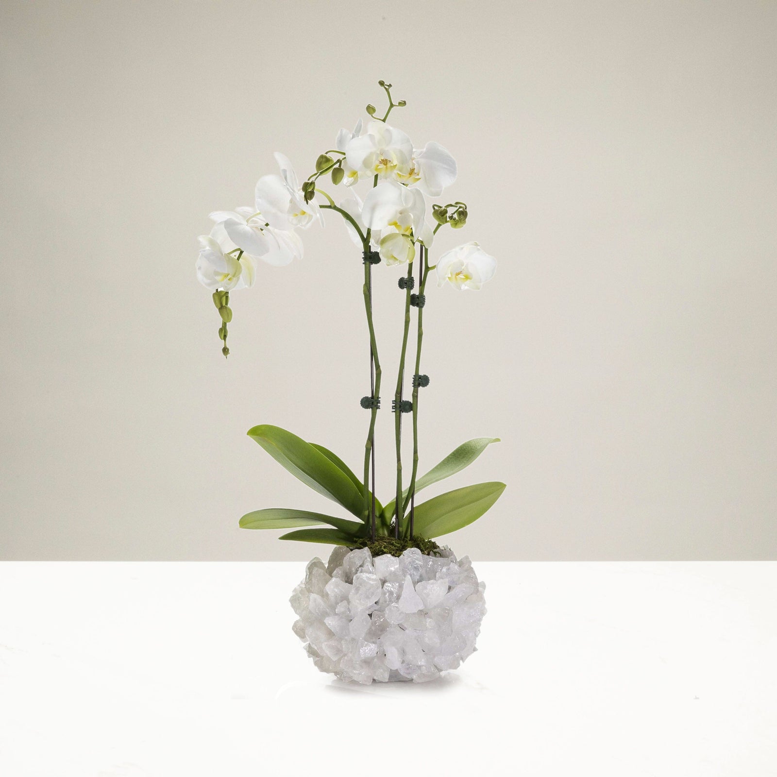 Kalifano Gemstone Vases Clear Quartz Gemstone Vase GVM-QZ