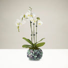Fluorite Gemstone Vase