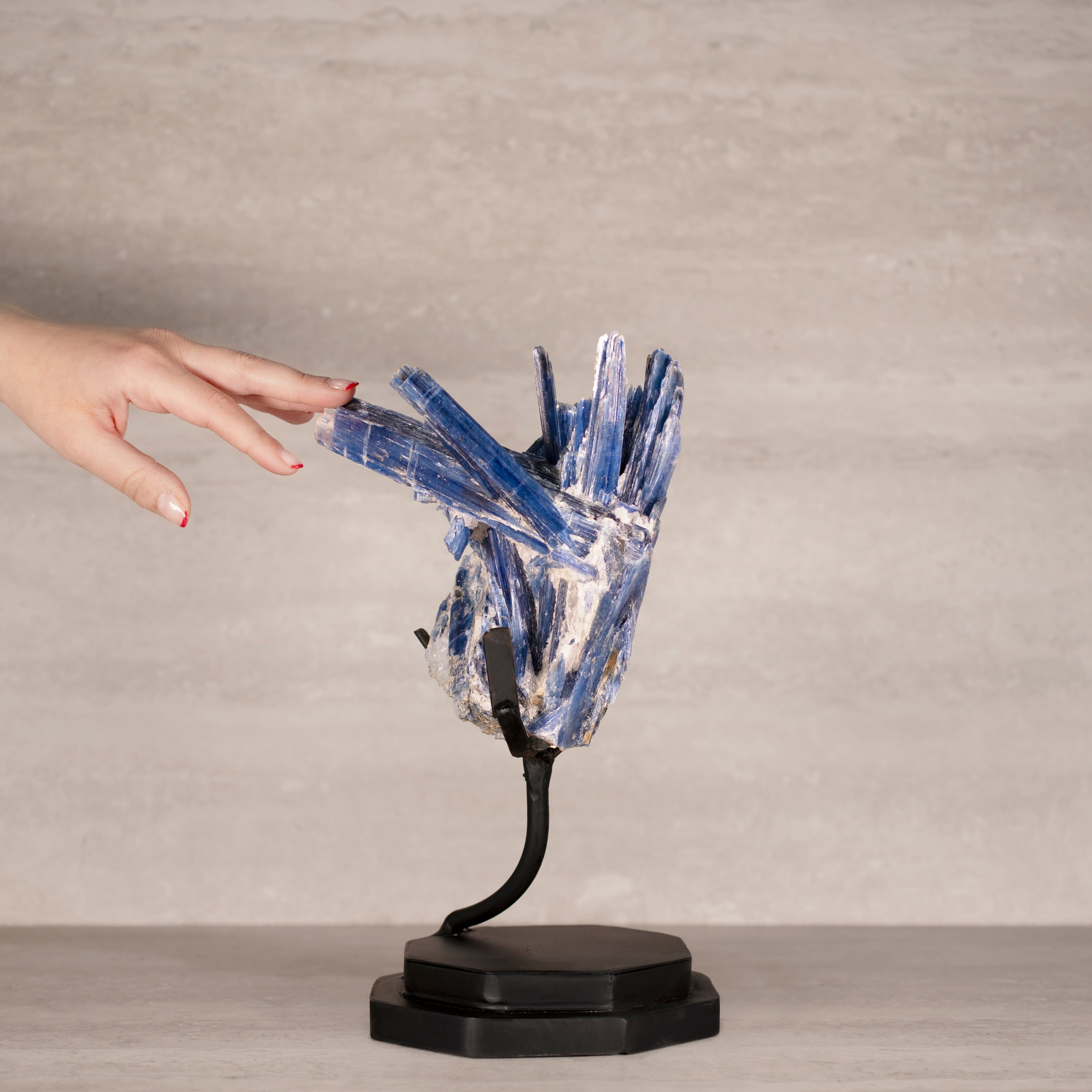 Kalifano Kyanite Natural Brazilian Kyanite on Custom Stand - 12" / 2,700 grams KYNT4400.002
