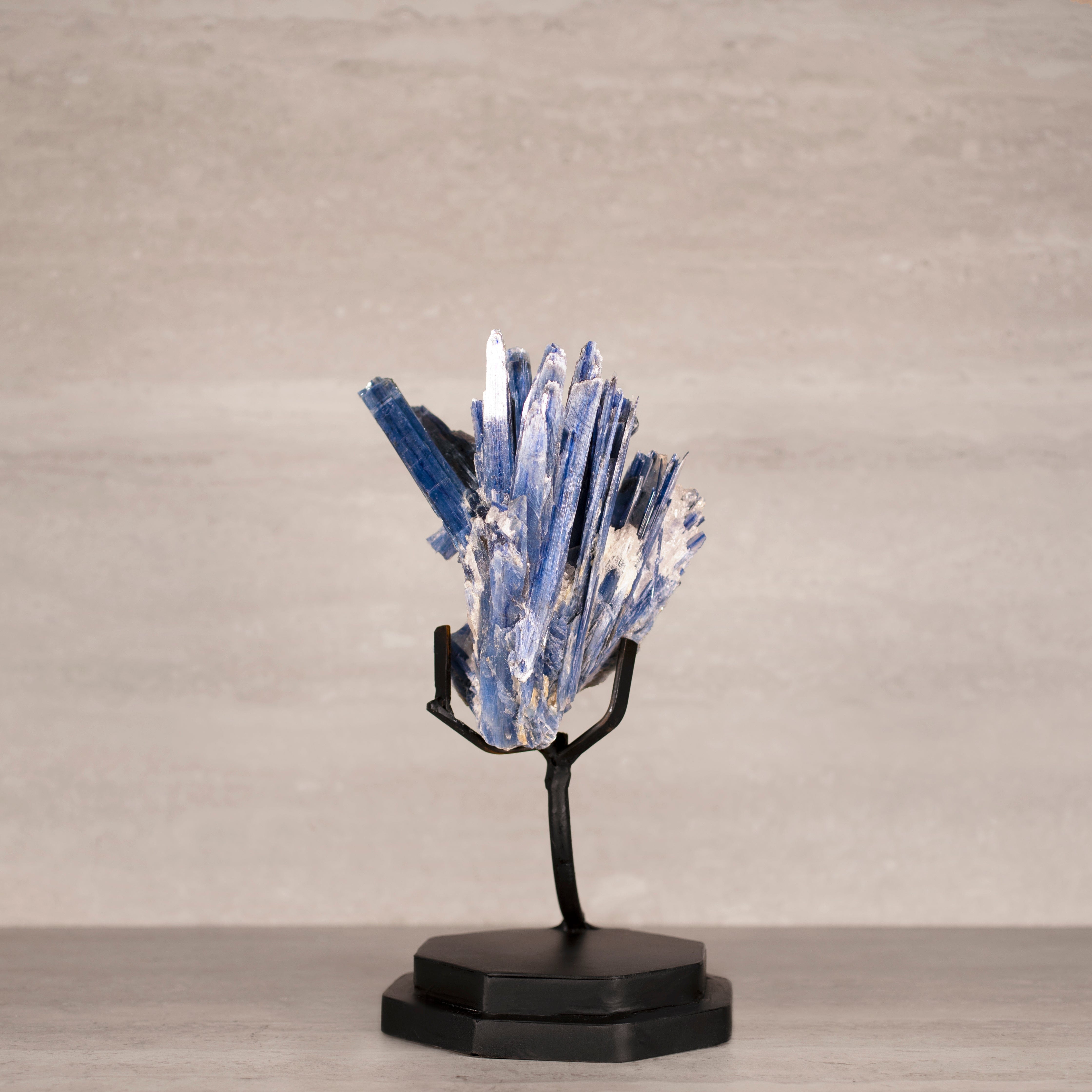 Kalifano Kyanite Natural Brazilian Kyanite on Custom Stand - 12" / 2,700 grams KYNT4400.002