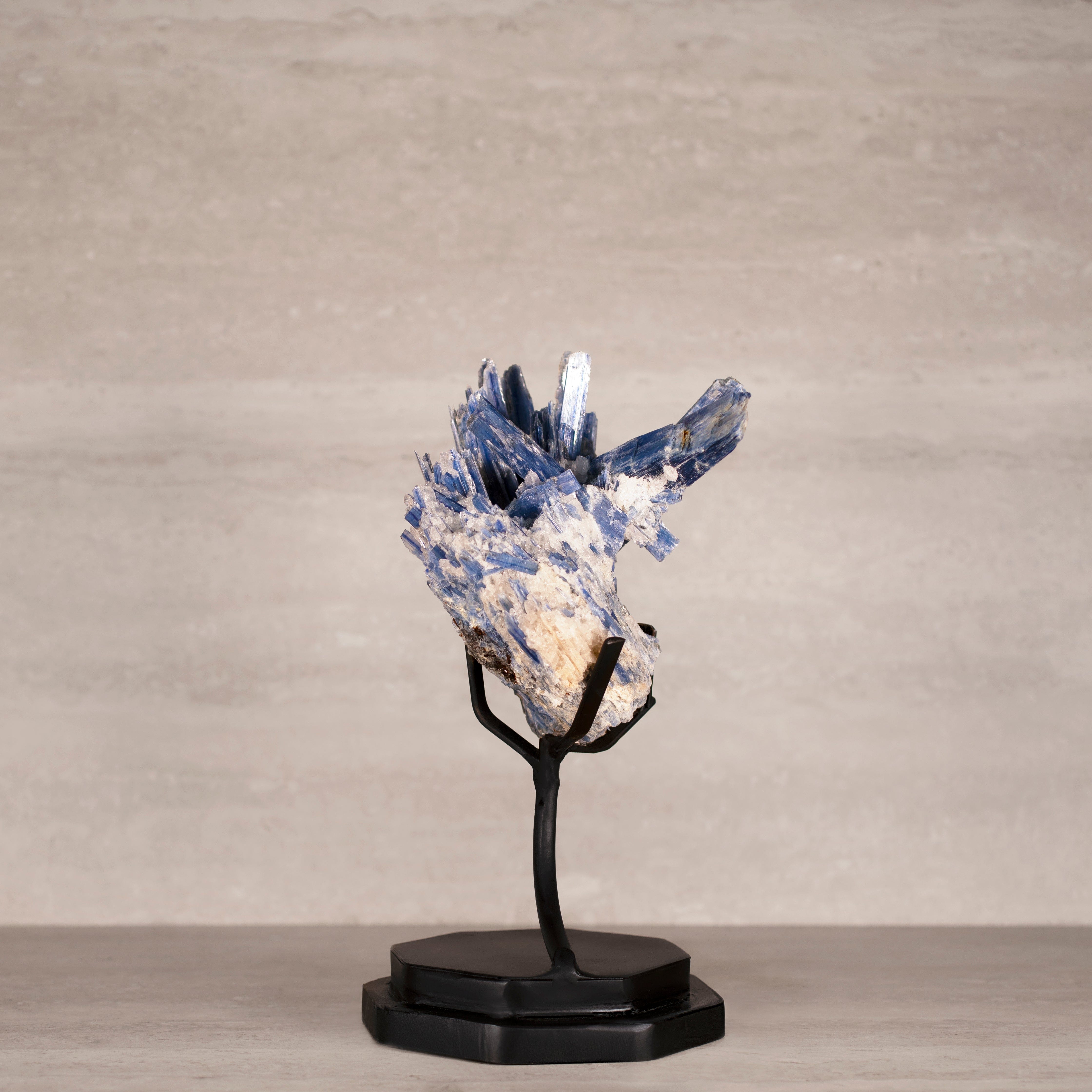 Kalifano Kyanite Natural Brazilian Kyanite on Custom Stand - 12" / 2,700 grams KYNT4400.002