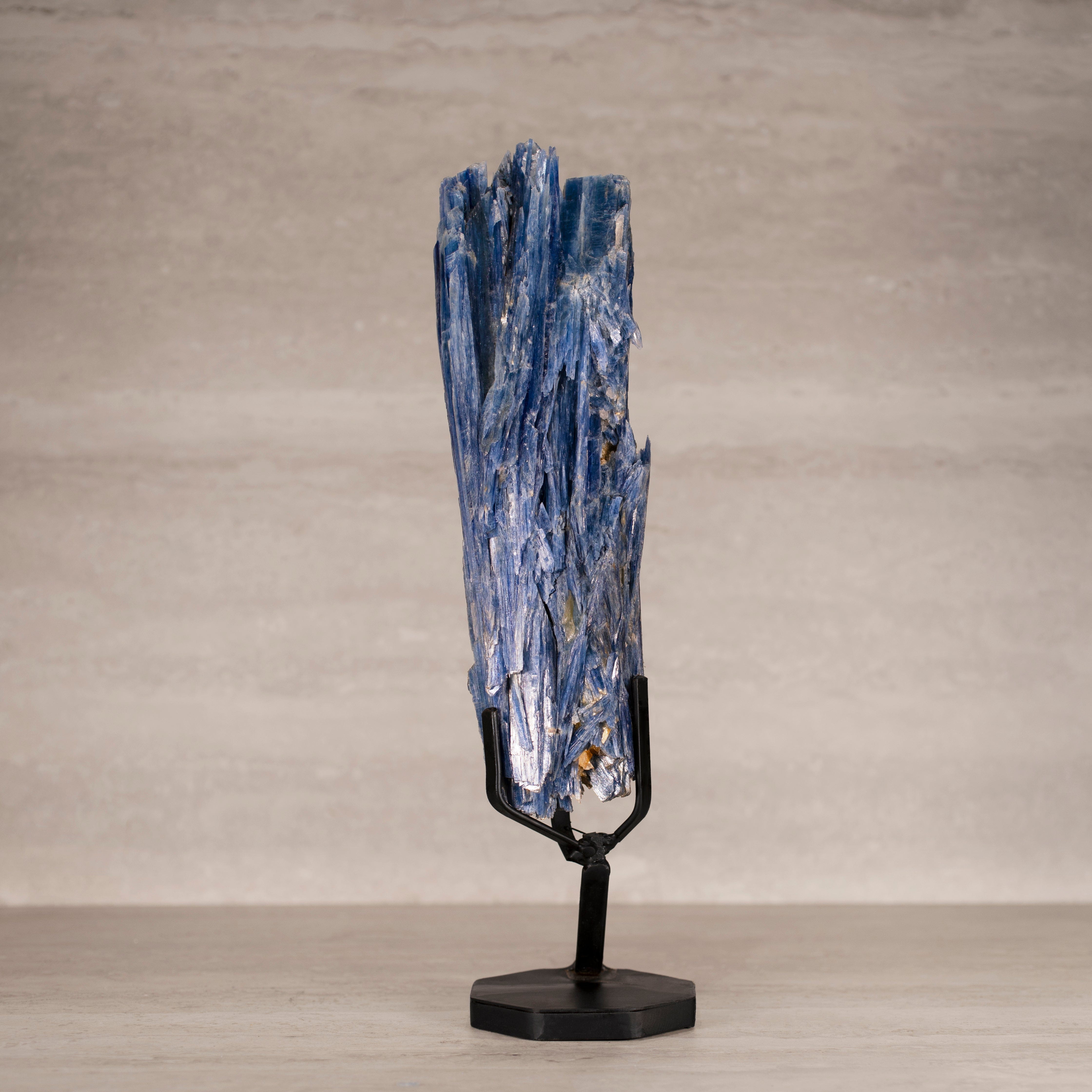 Kalifano Kyanite Natural Brazilian Kyanite on Custom Stand - 15.75" / 2,270 grams KYNT3900.001