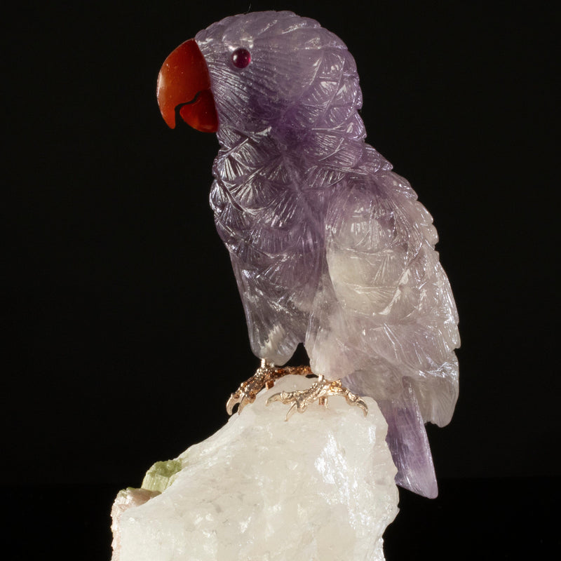 Peter Muller | Amethyst Parrot Bird Carving on Watermelon Tourmaline ...