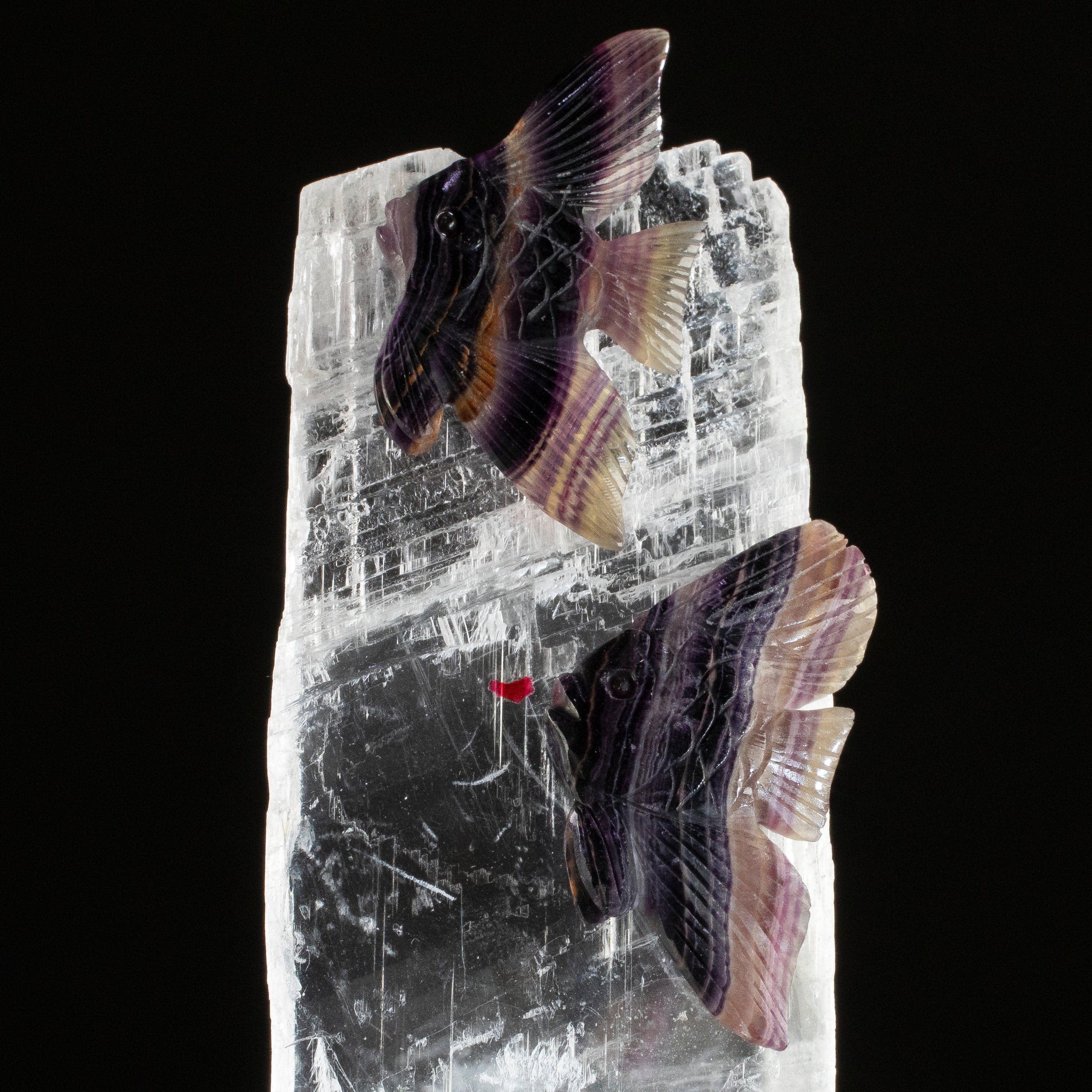 KALIFANO Love Birds Carvings Peter Muller Fluorite Fish Couple Carving on Calcite Base LB.E206.002