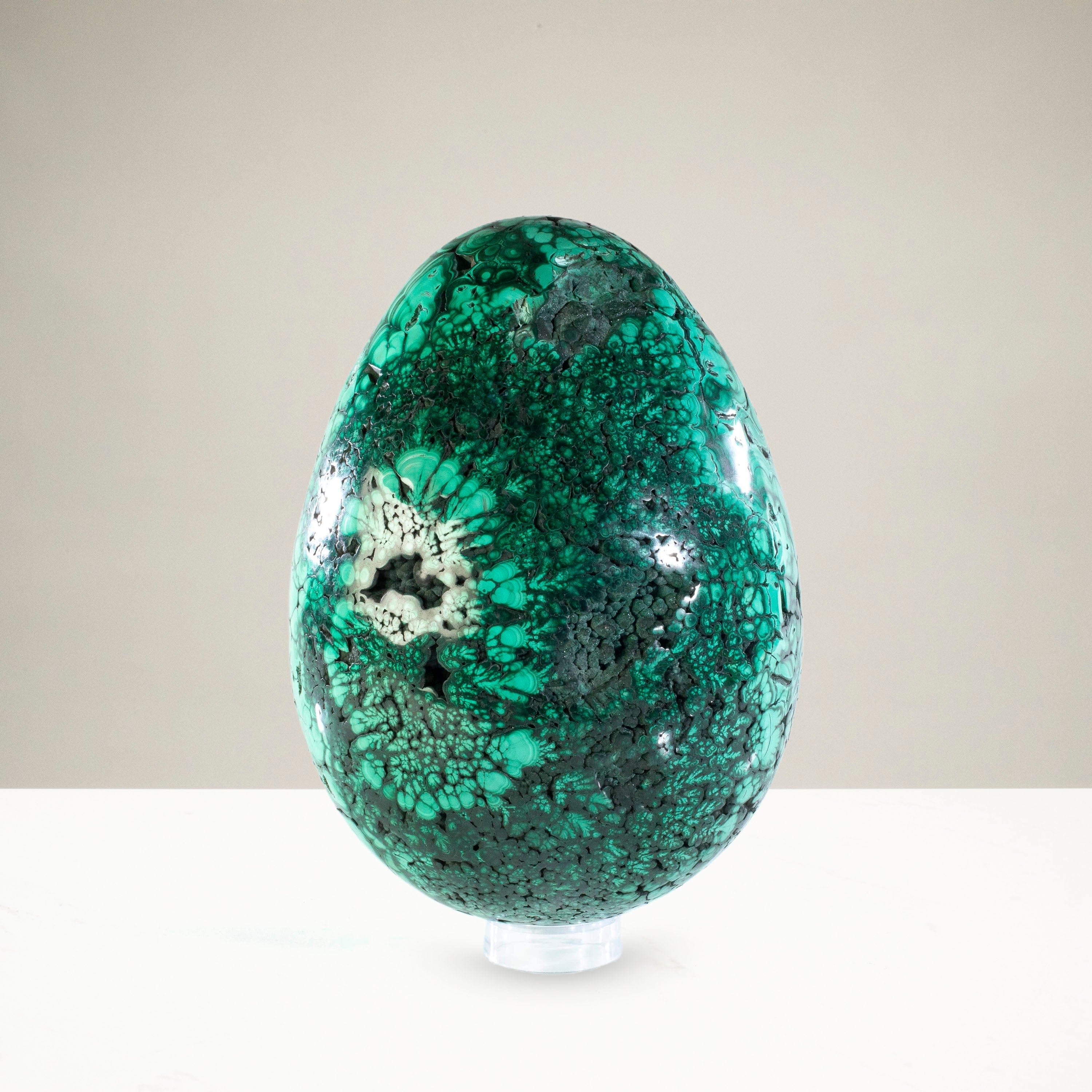 Kalifano Malachite Malachite Egg Carving 6" / 10,080g EGG23600-MA.001