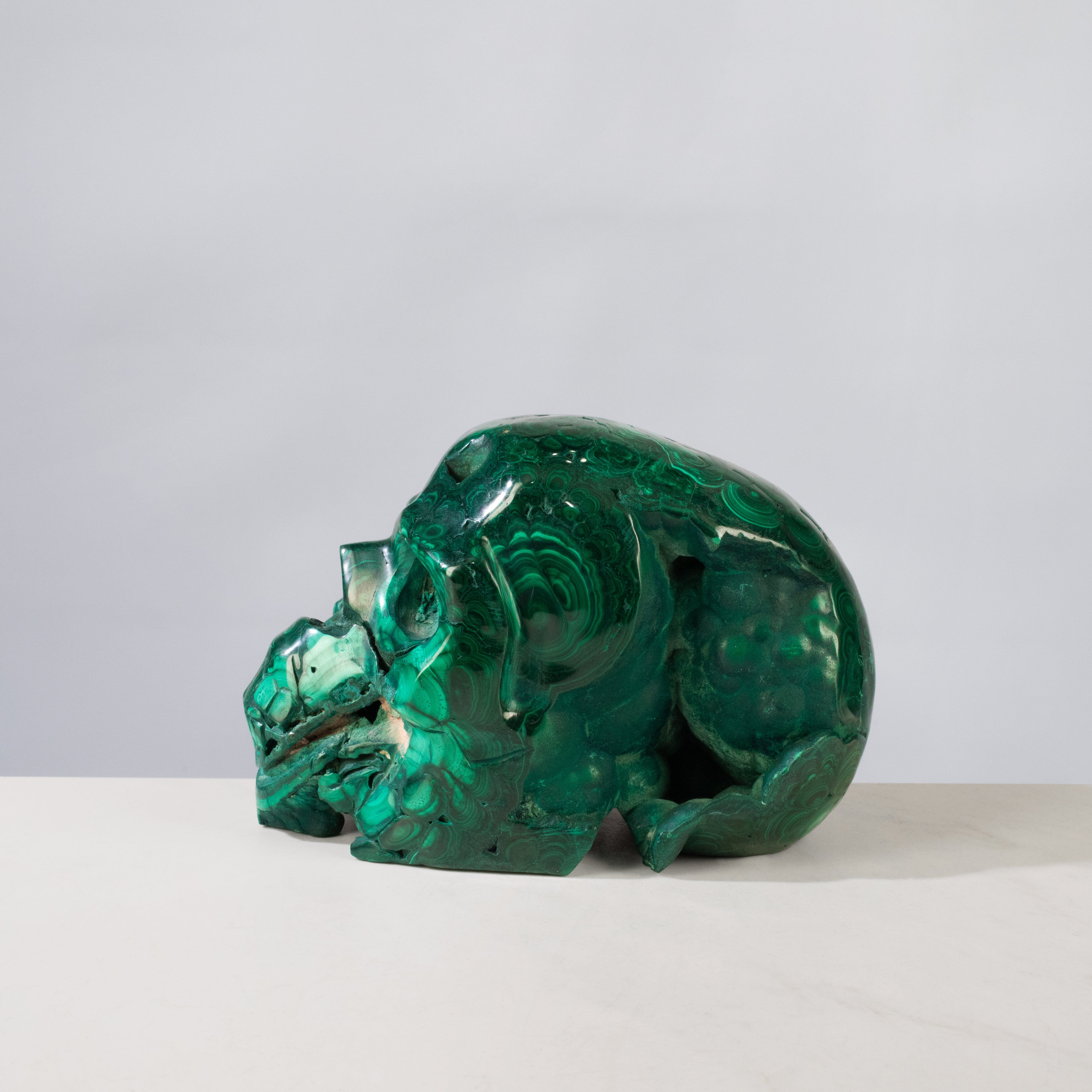 Kalifano Malachite Malachite Skull Carving 6" / 2,500g SK9000-MA.001