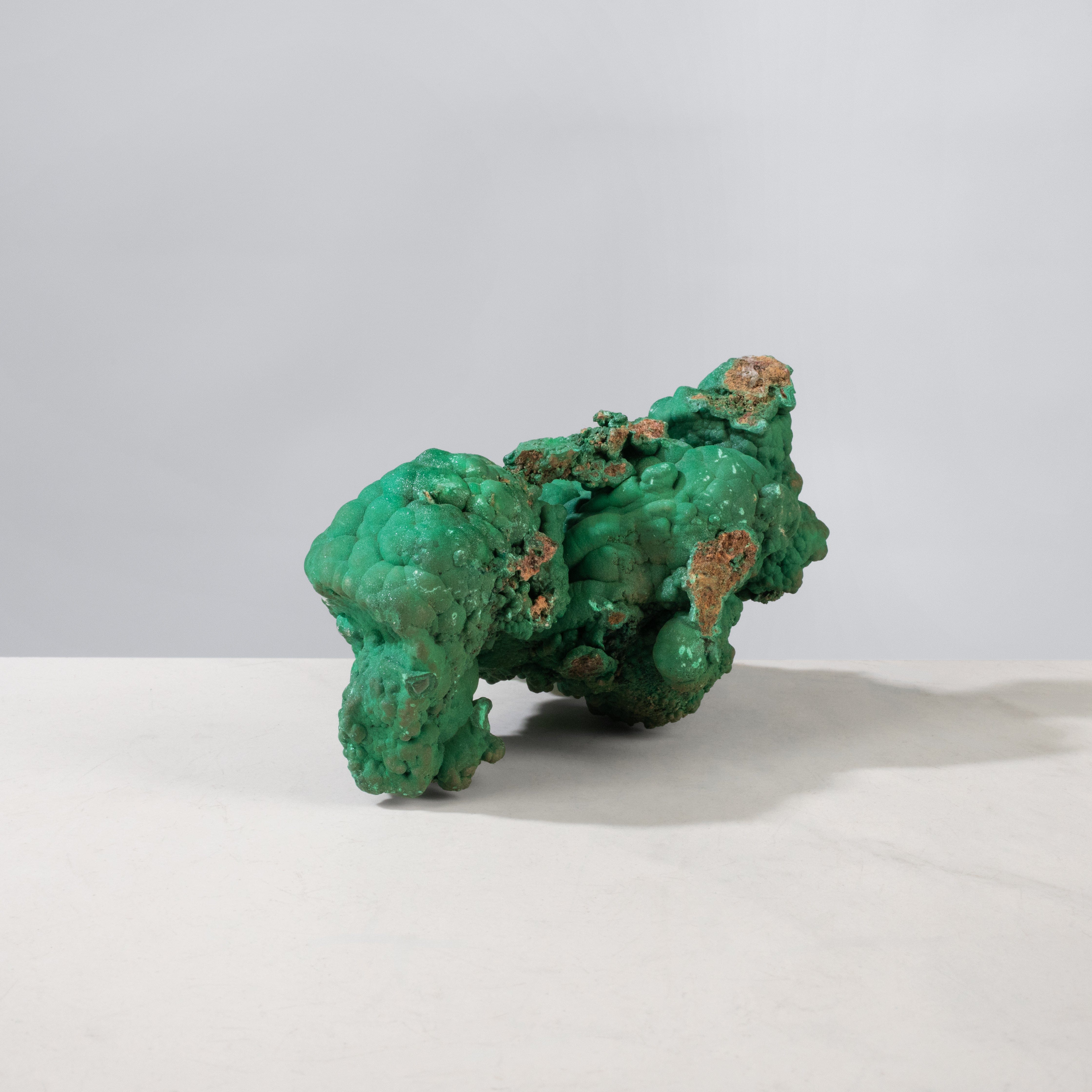 Kalifano Malachite Natural Malachite Freeform Specimen from Congo - 5.75" / 1,217 g MA1600.007
