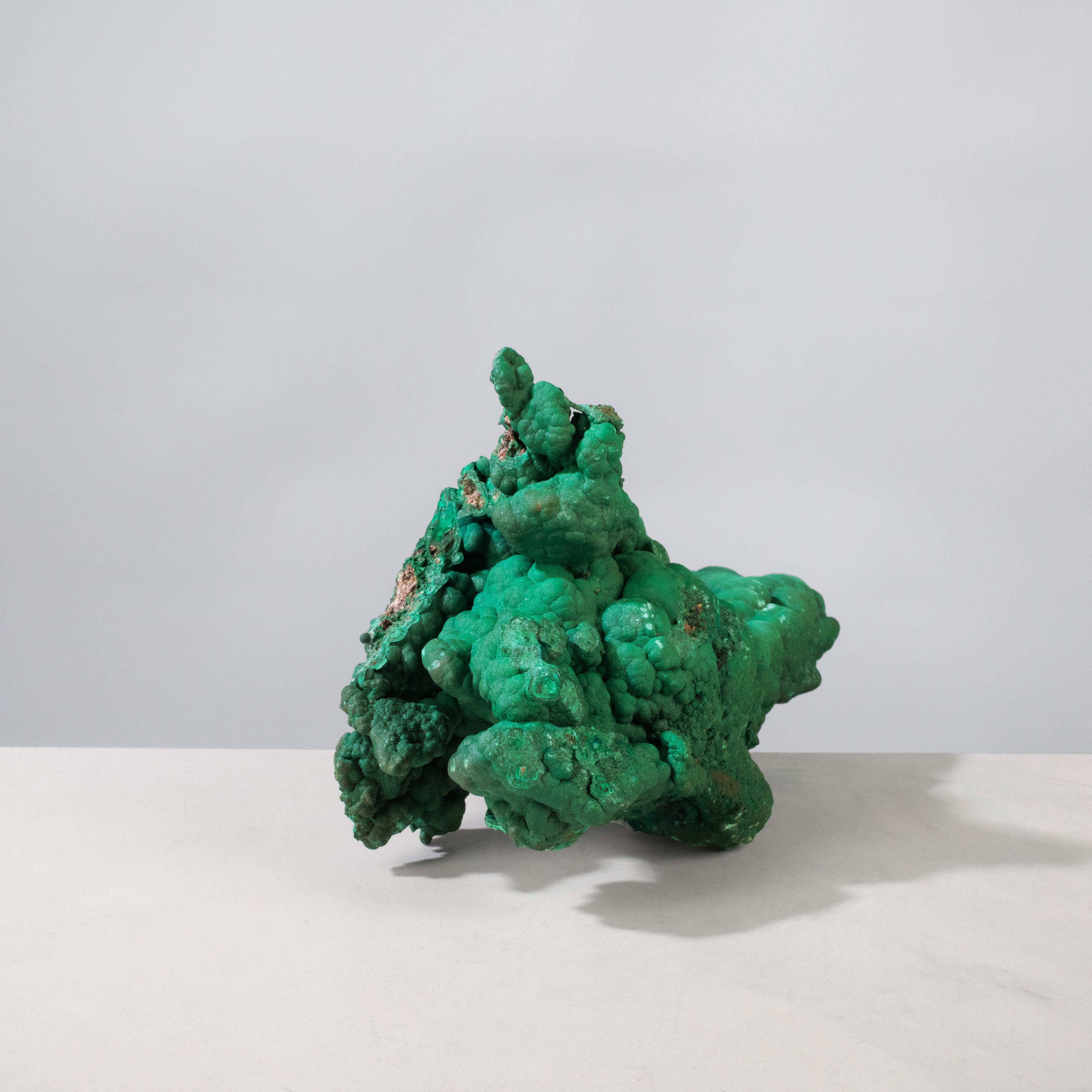 Kalifano Malachite Natural Malachite Freeform Specimen from Congo - 6.75" / 1,135 g MA7200.003