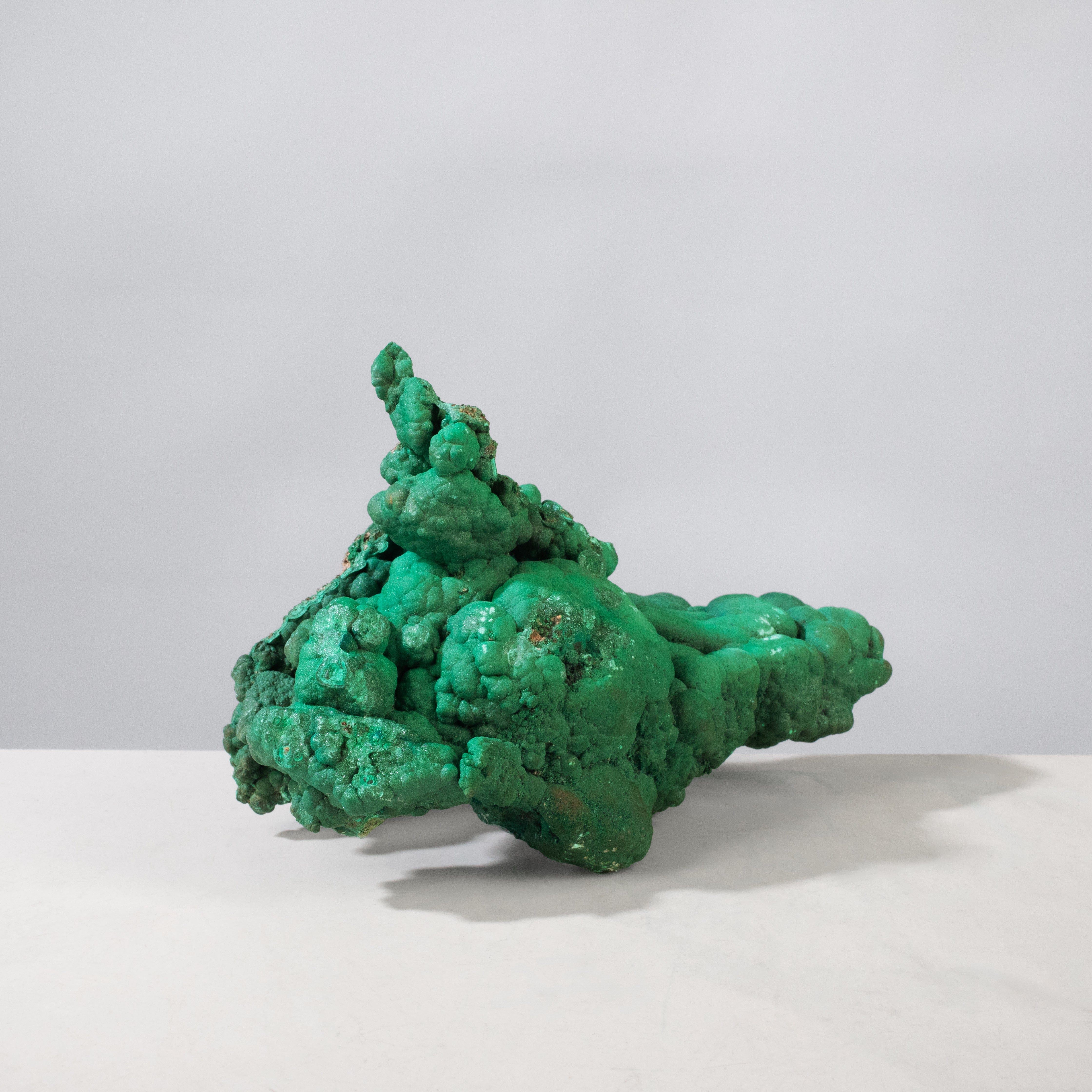 Kalifano Malachite Natural Malachite Freeform Specimen from Congo - 6.75" / 1,135 g MA7200.003