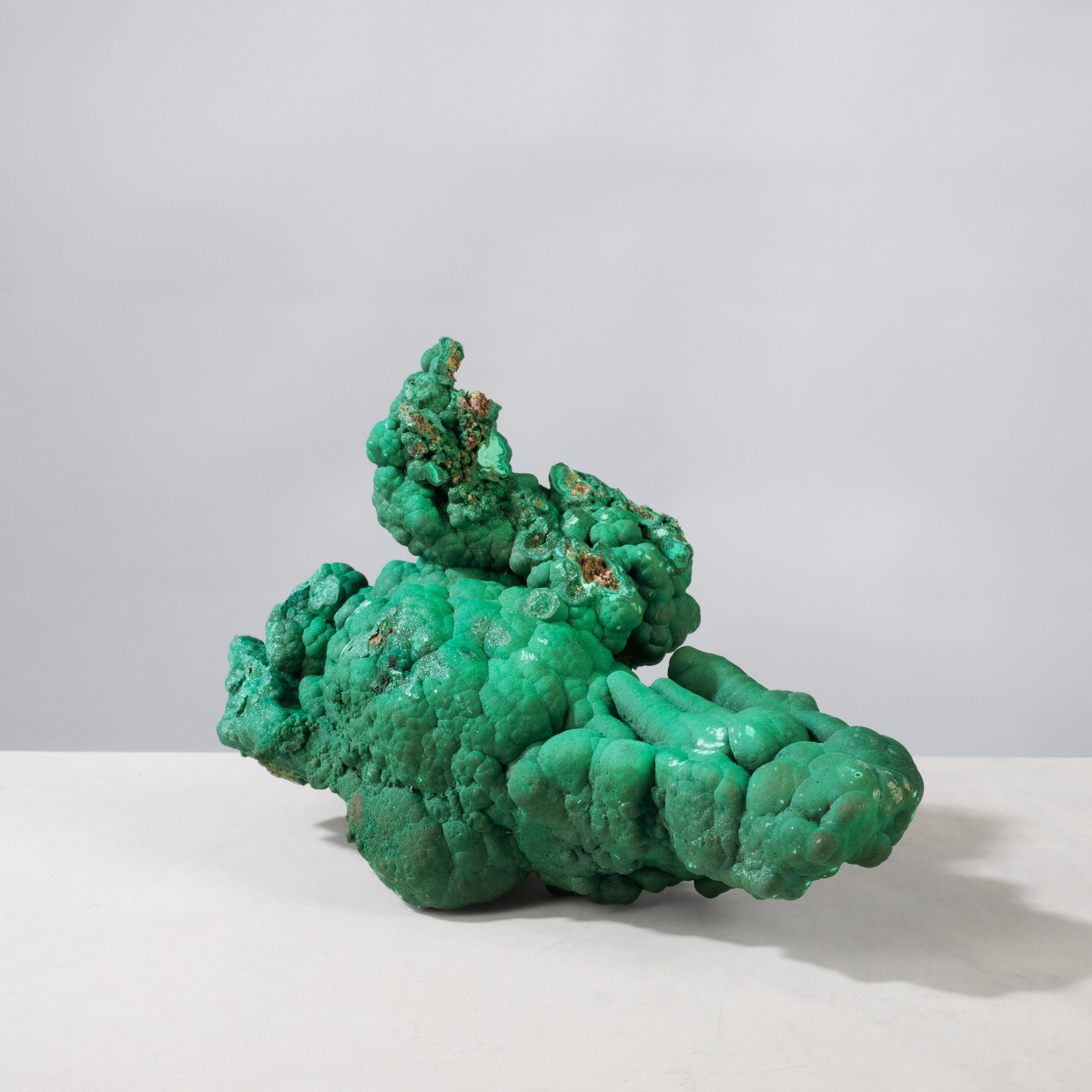 Kalifano Malachite Natural Malachite Freeform Specimen from Congo - 6.75" / 1,135 g MA7200.003
