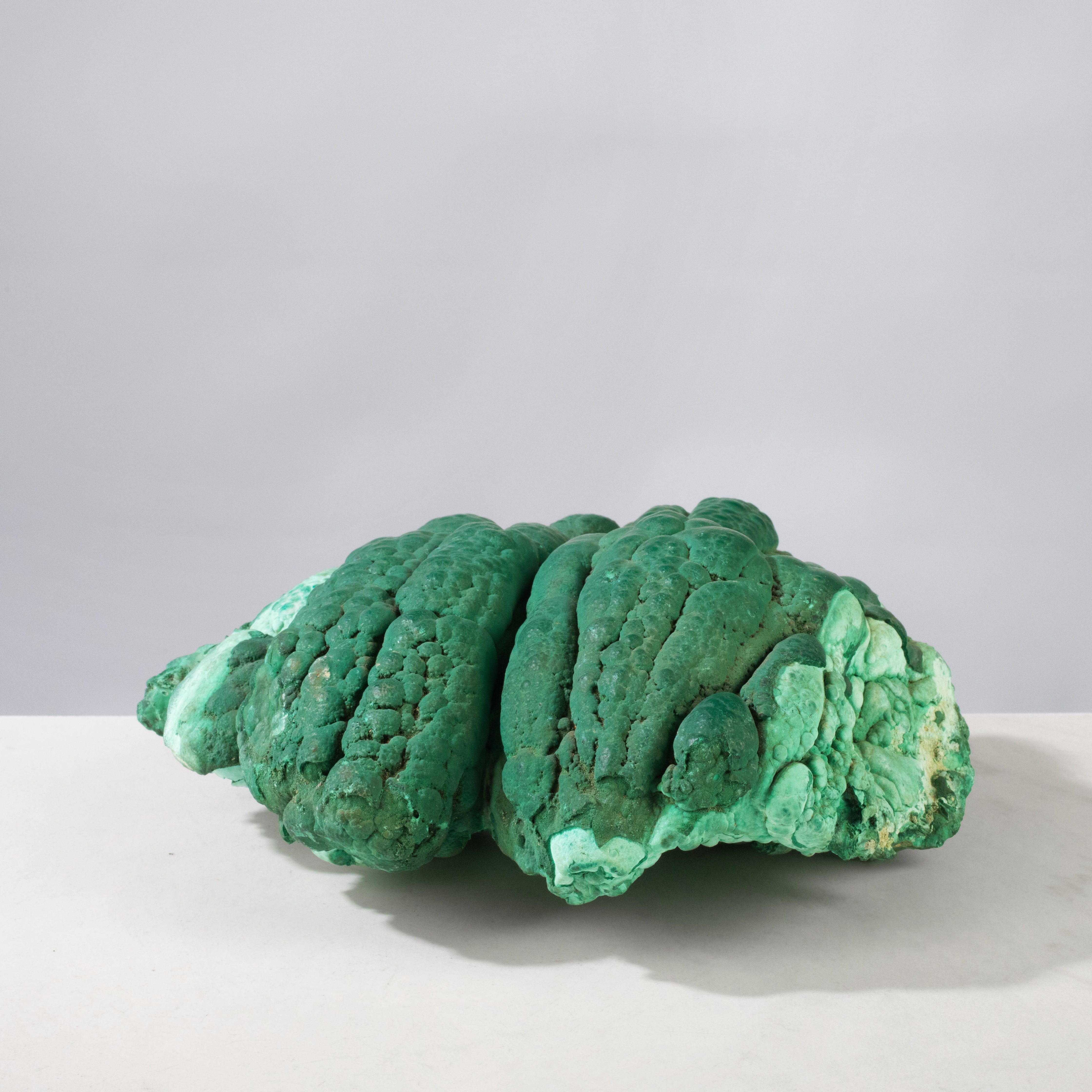 Kalifano Malachite Natural Malachite Polished Freeform Specimen from Congo - 8" / 4,767 g MA7200.002