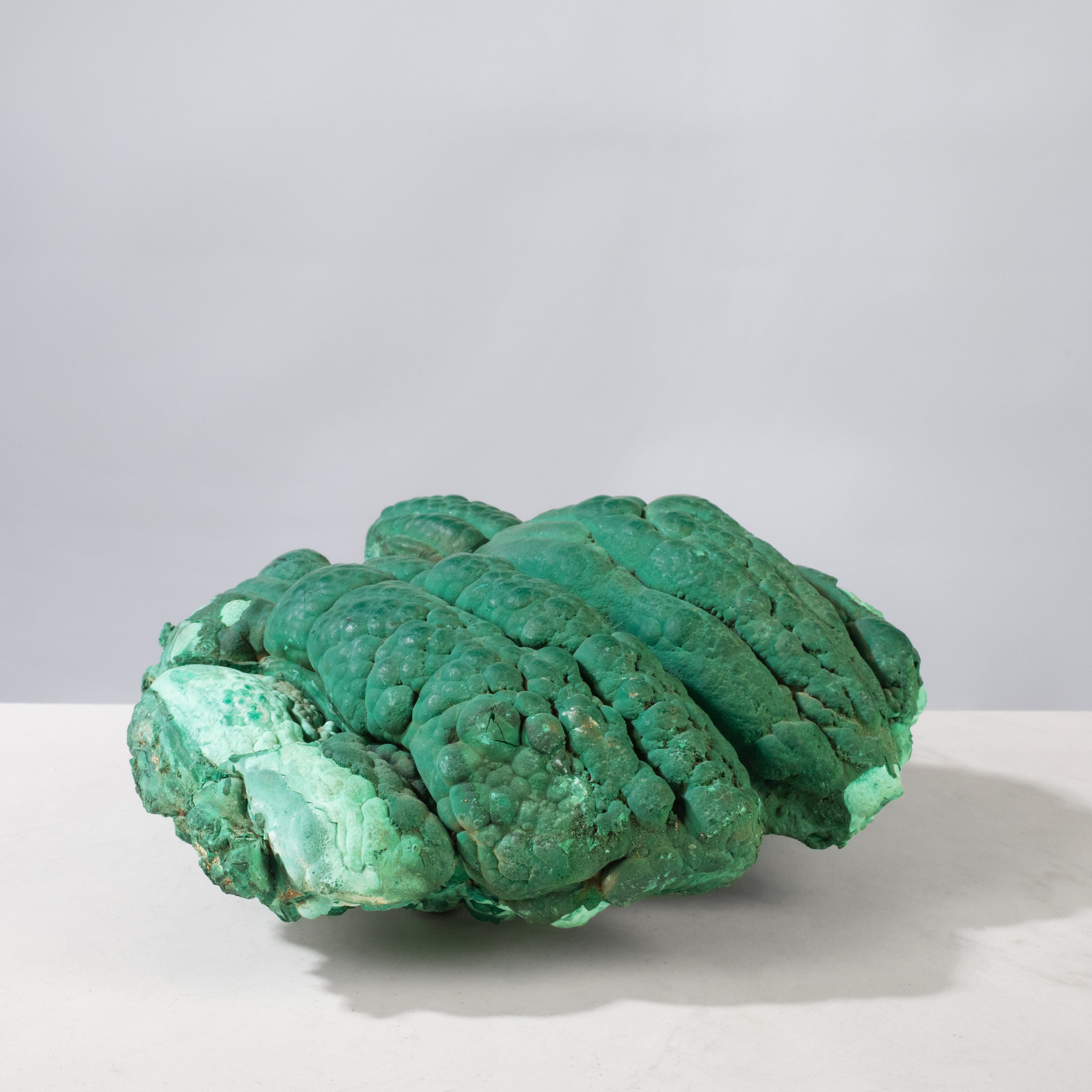 Kalifano Malachite Natural Malachite Polished Freeform Specimen from Congo - 8" / 4,767 g MA7200.002