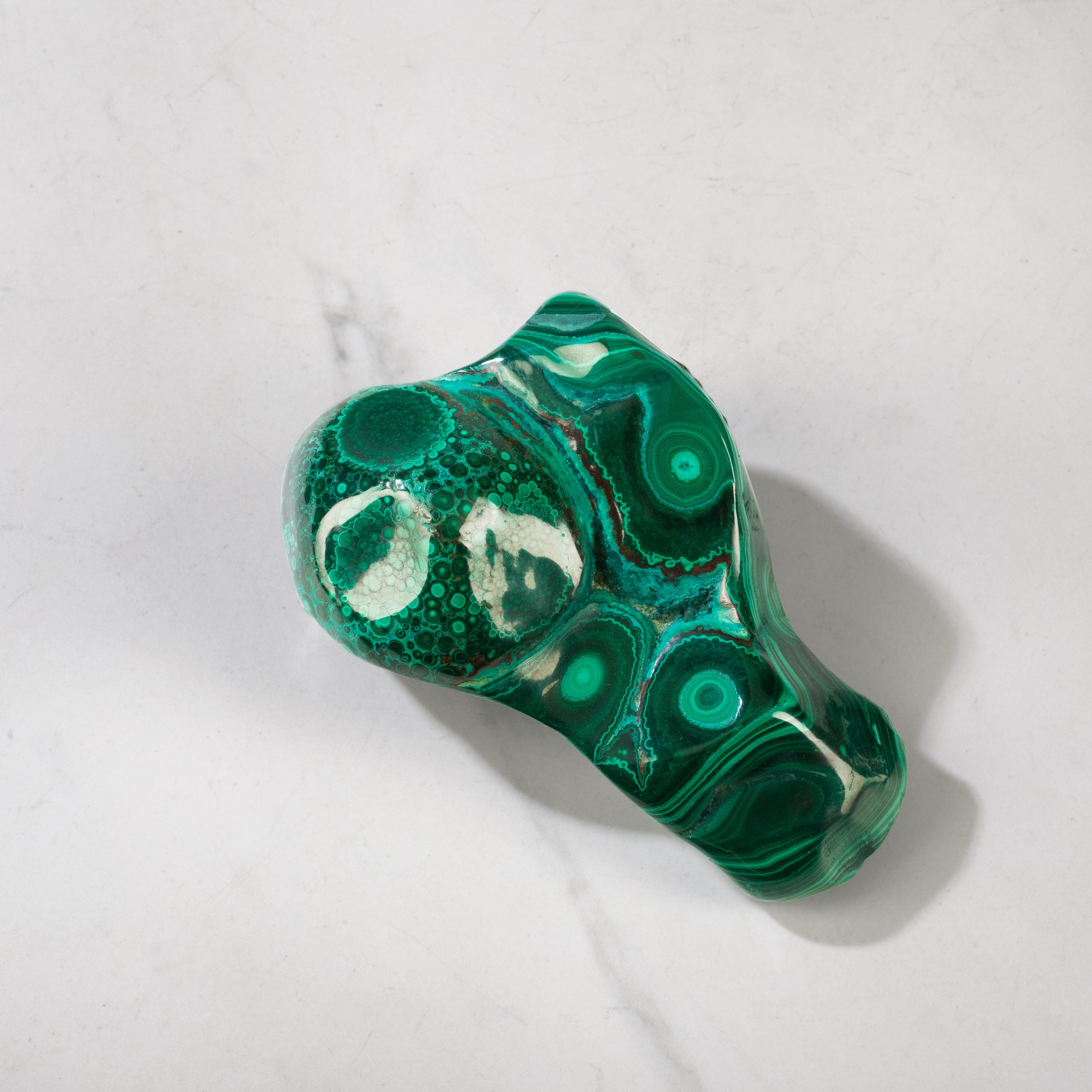 Kalifano Malachite Natural Malachite with Chrysocolla Freeform From Congo - 5" / 890g MAC1200.004