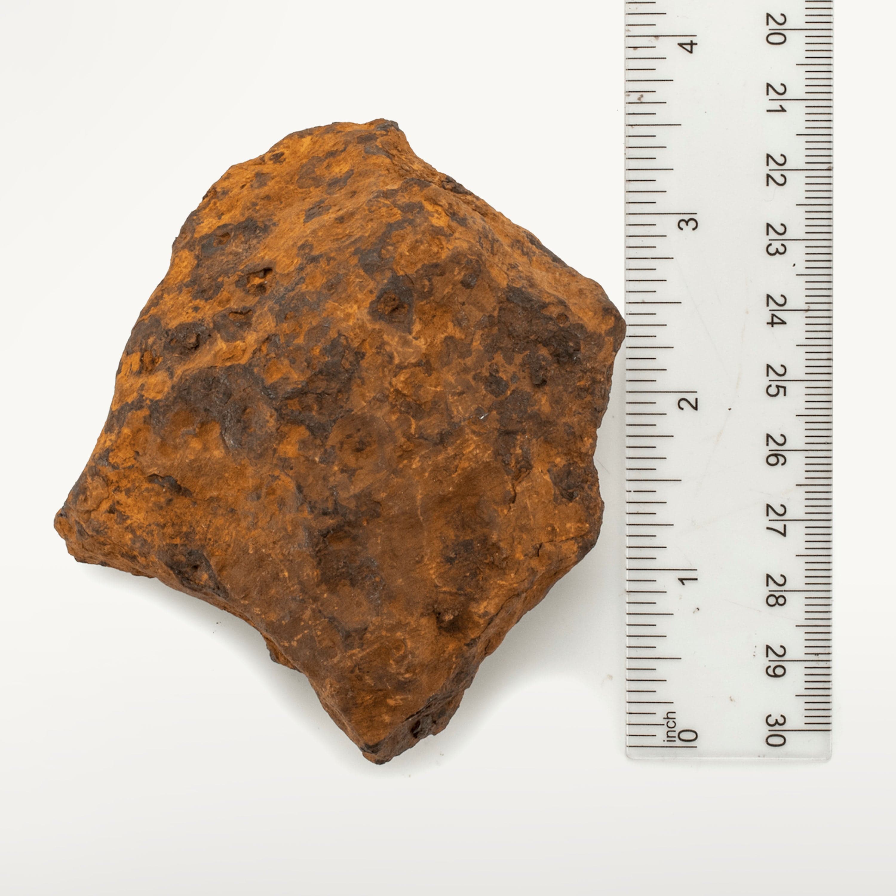 Kalifano Meteorites Natural Chinga Iron Meteorite from Russia - 610 grams MTCH12200.001