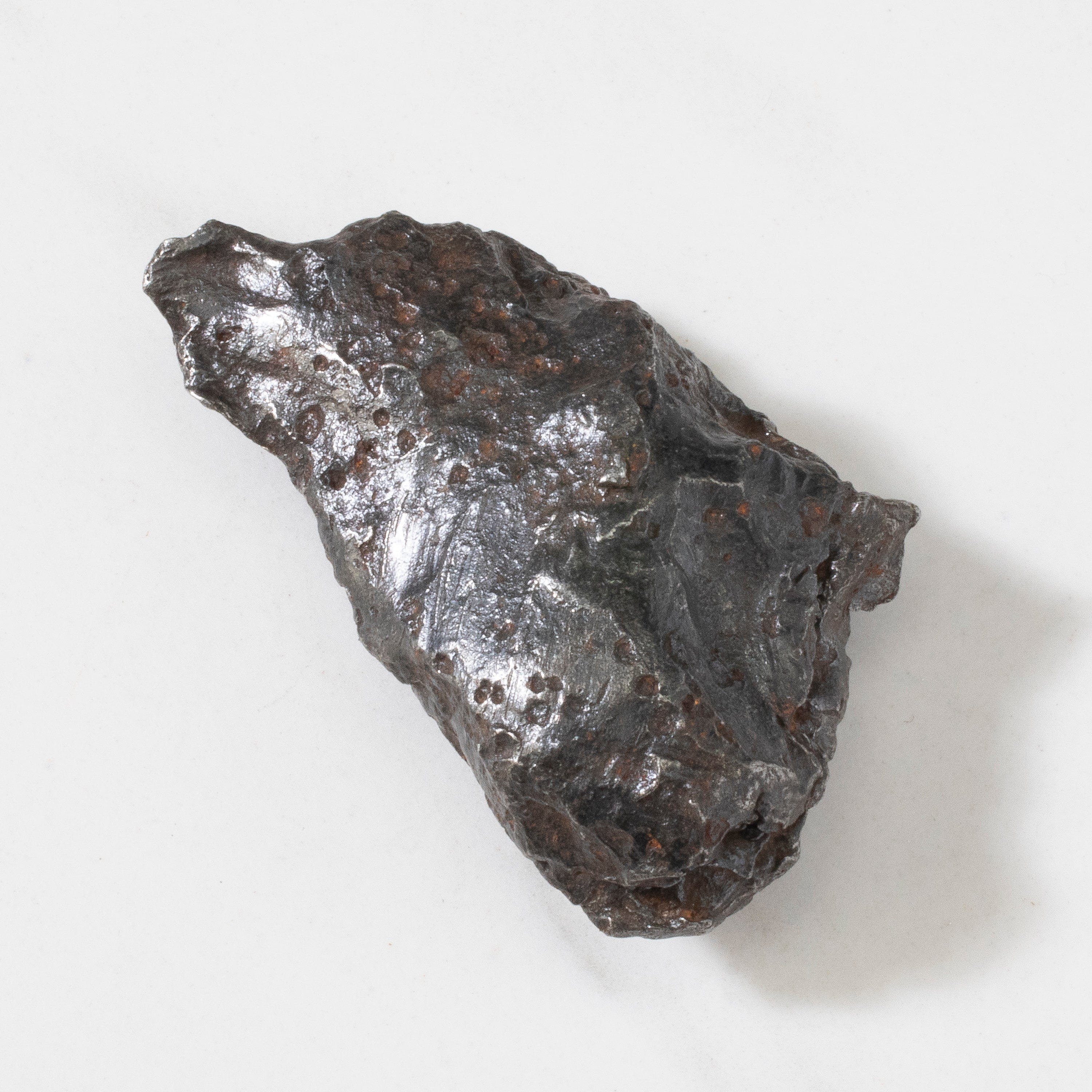 Kalifano Meteorites Natural Sikhote-Alin Meteorite from Russia- 2.1" / 75 grams MTS1700.004
