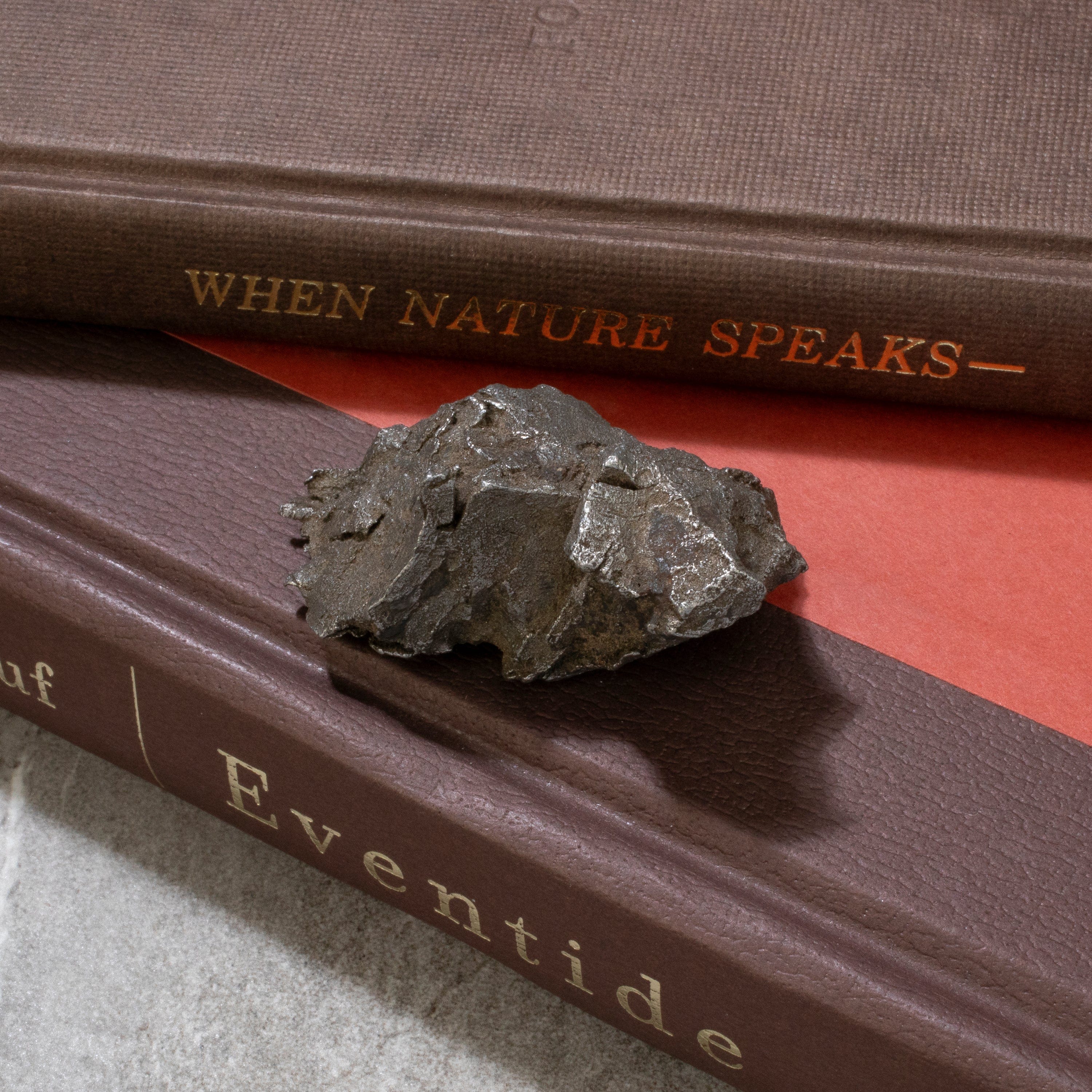 Kalifano Meteorites Natural Sikhote-Alin Meteorite from Russia- 2.3" / 106 grams MTS2400.014