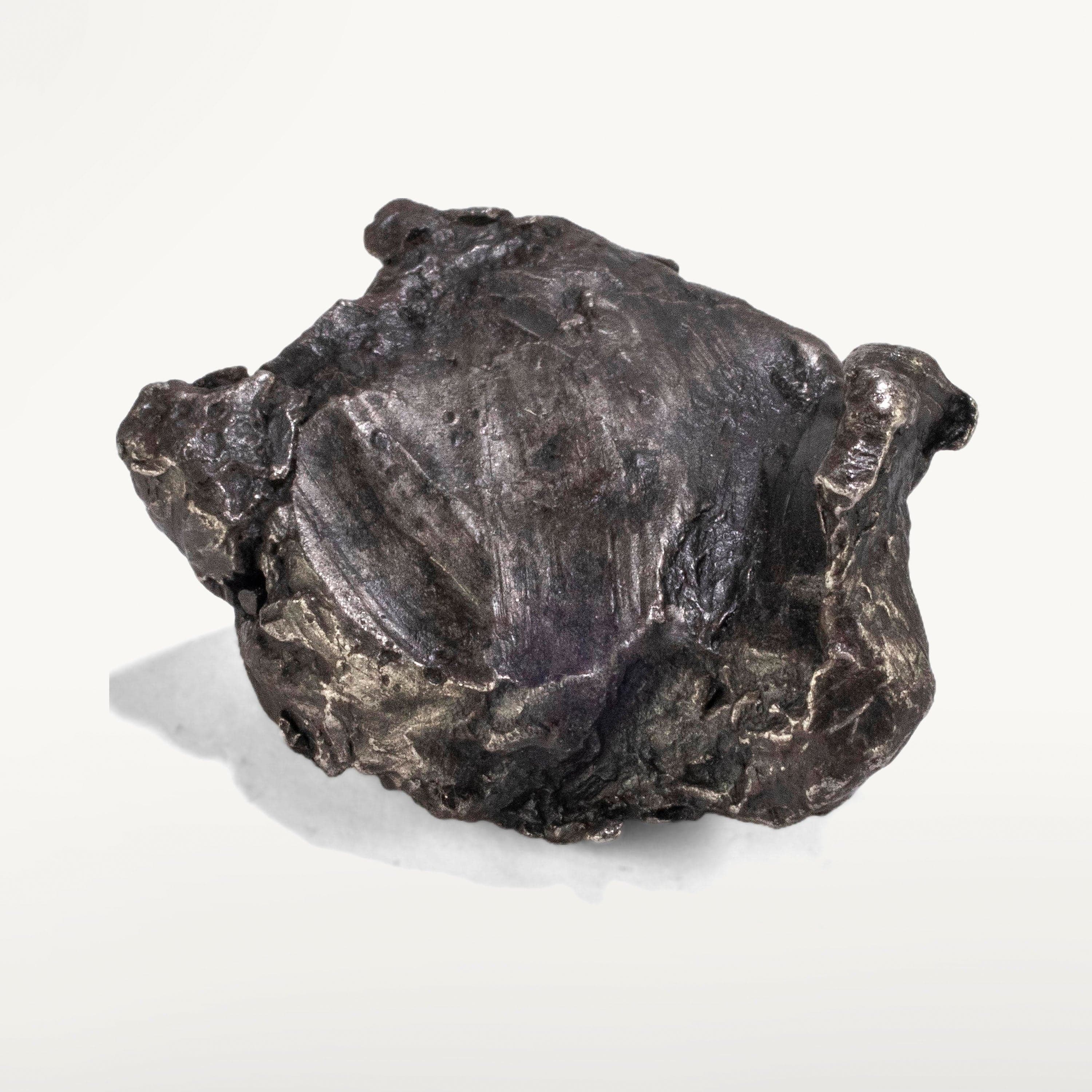 Kalifano Meteorites Natural Sikhote-Alin Meteorite from Russia: 35-41.9 grams MTS800