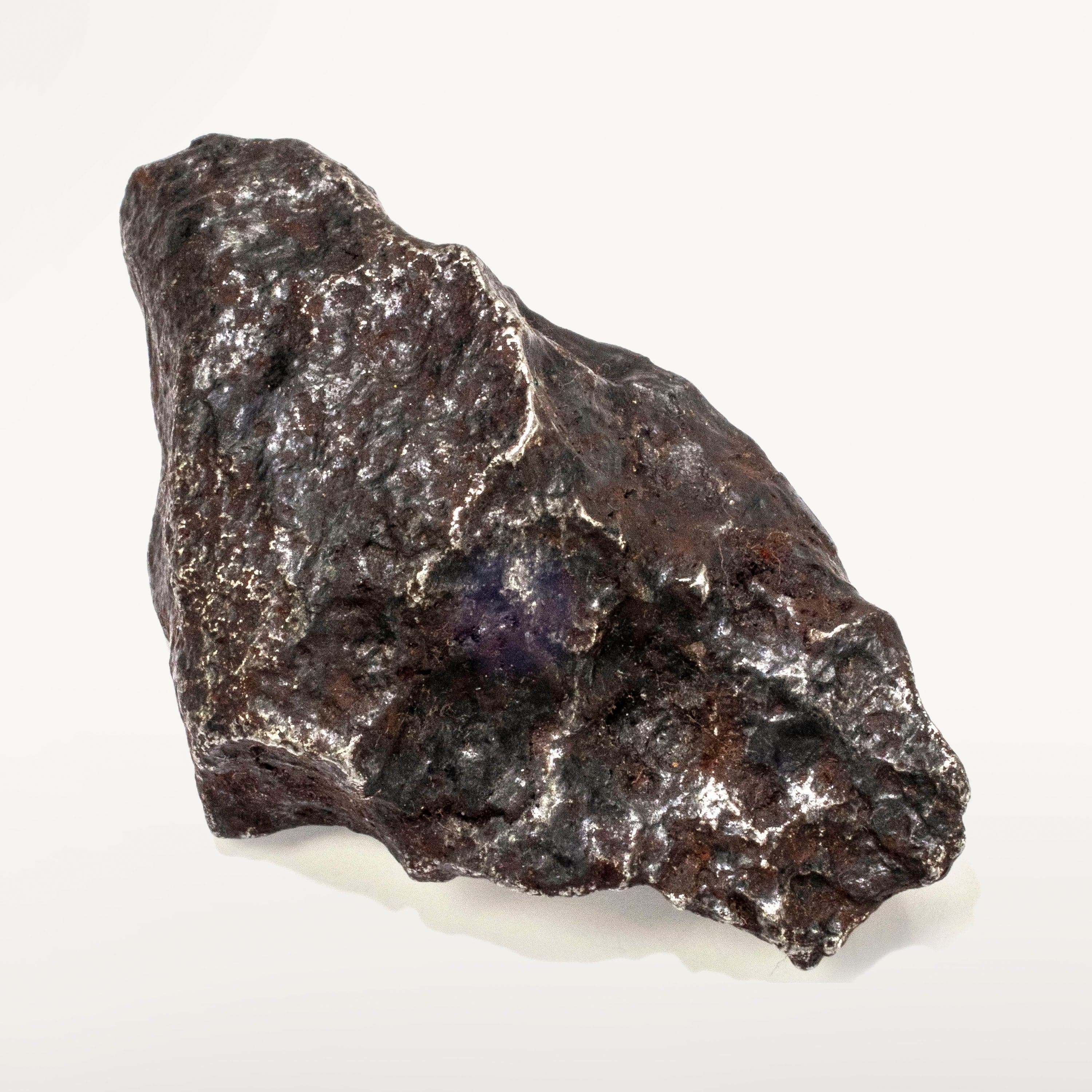 Kalifano Meteorites Natural Sikhote-Alin Meteorite from Russia - 74 grams / 2.5" MTS1600.002