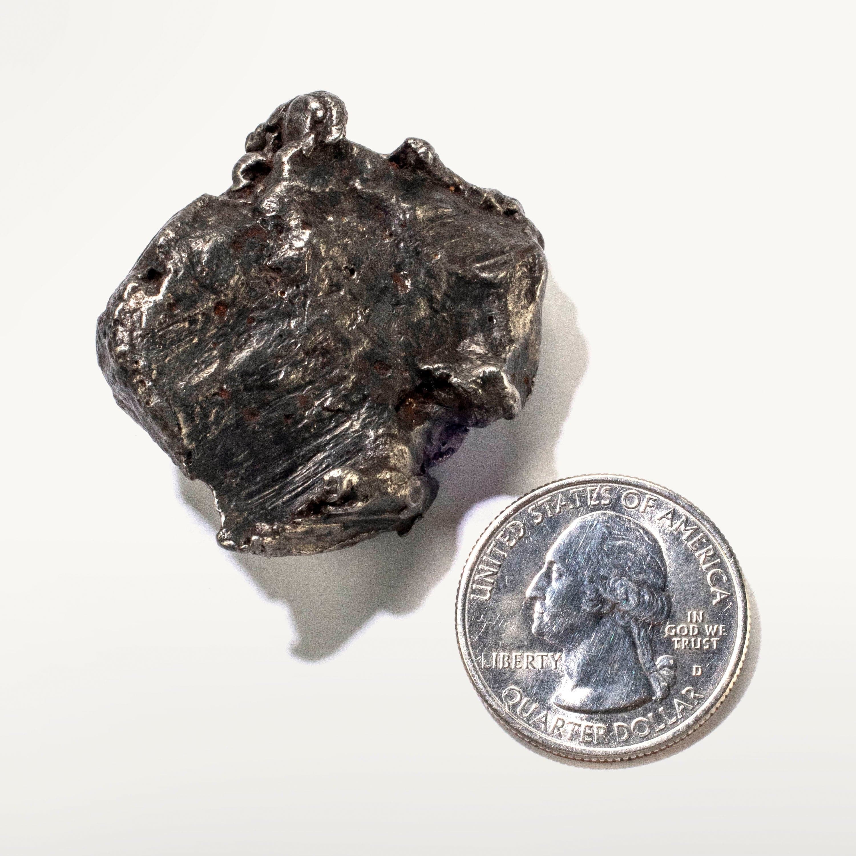 Kalifano Meteorites Natural Sikhote-Alin Meteorite from Russia - 87 grams / 1.75" MTS1800.003